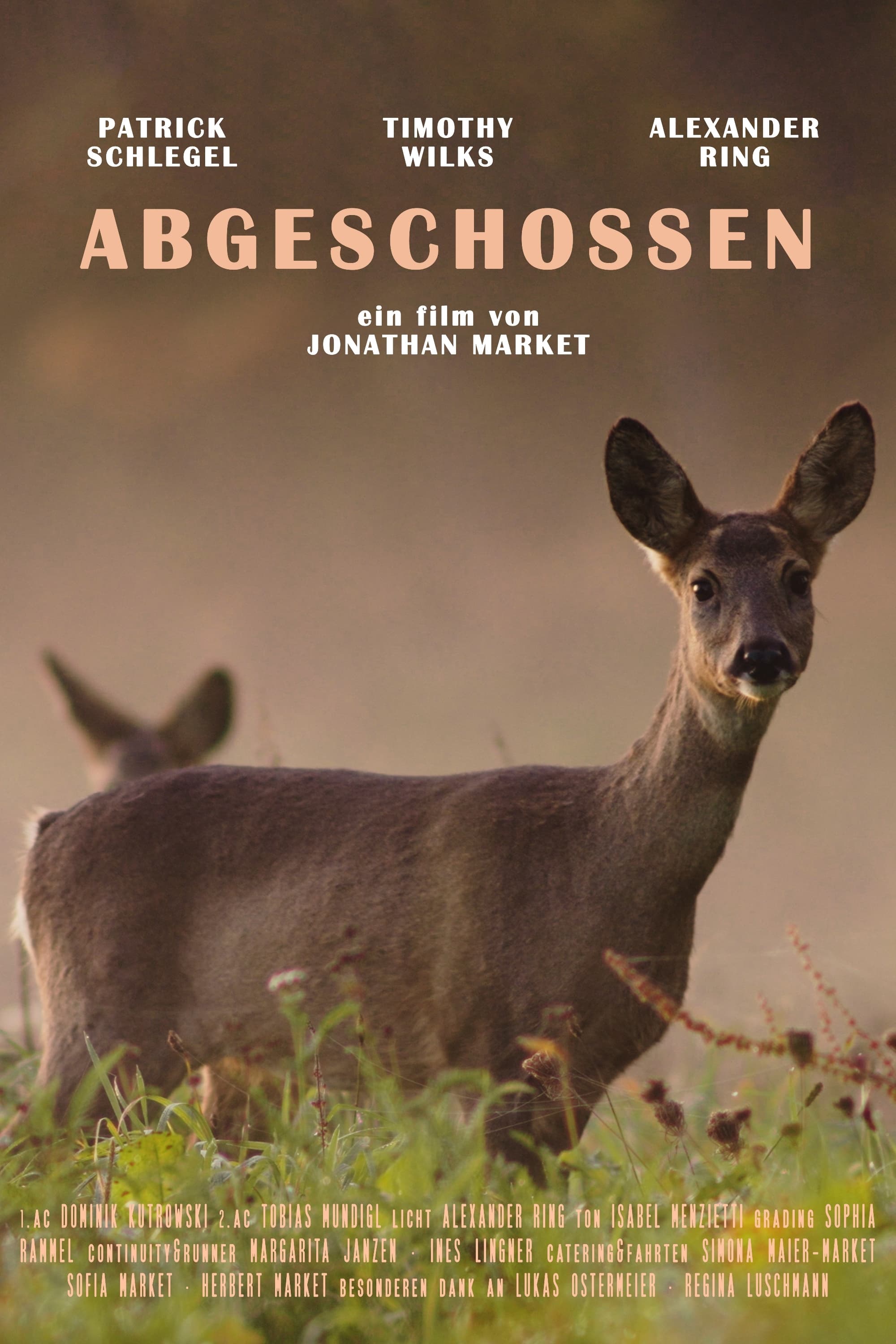 Abgeschossen | Abgeschossen