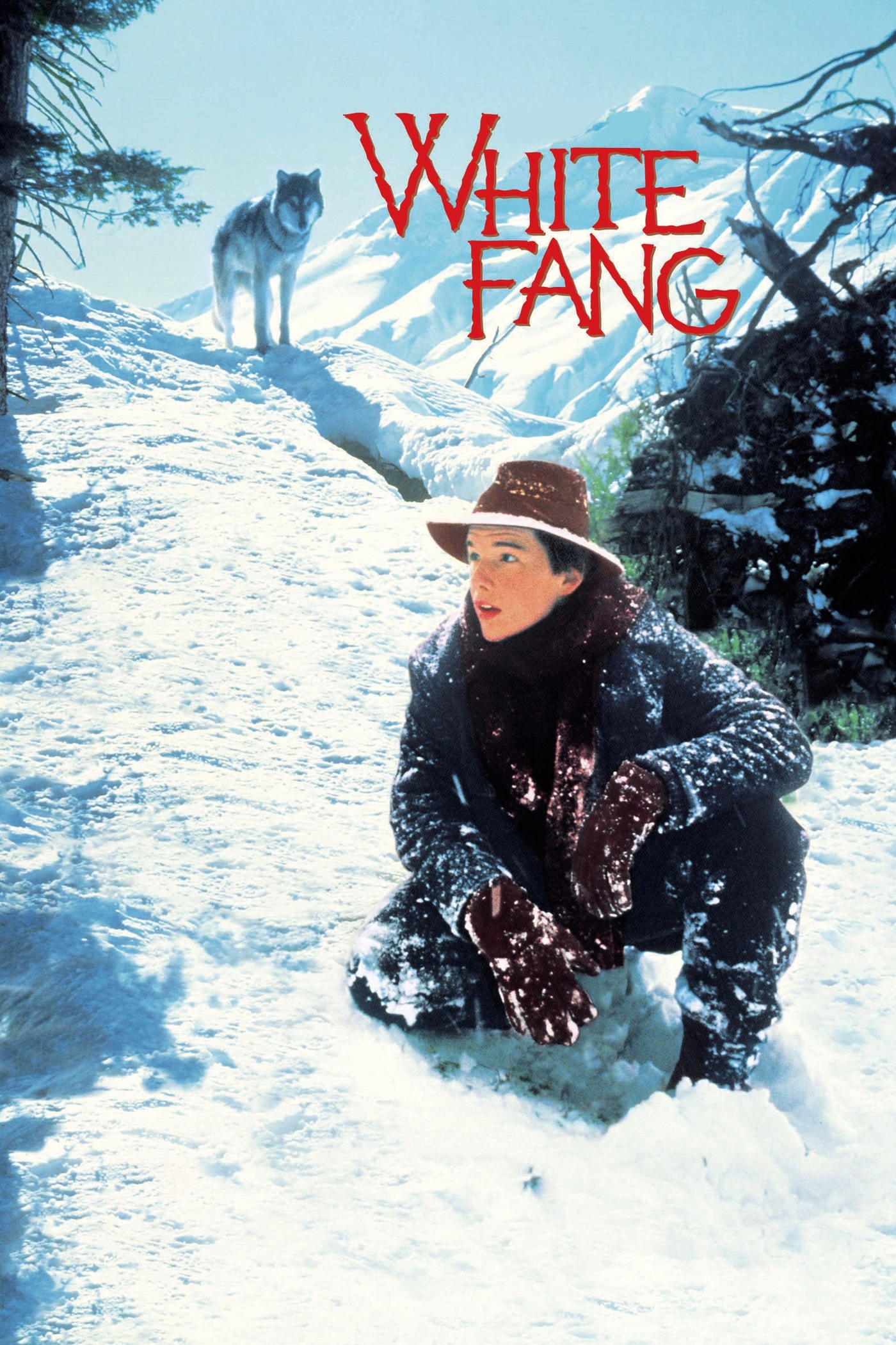 White Fang | White Fang