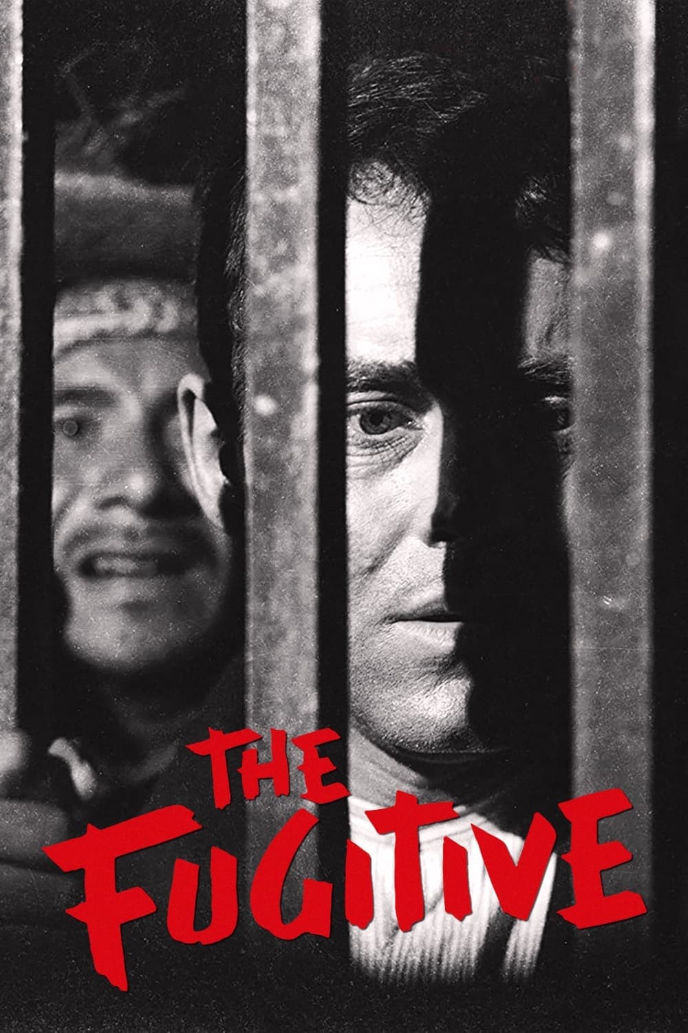 The Fugitive | The Fugitive