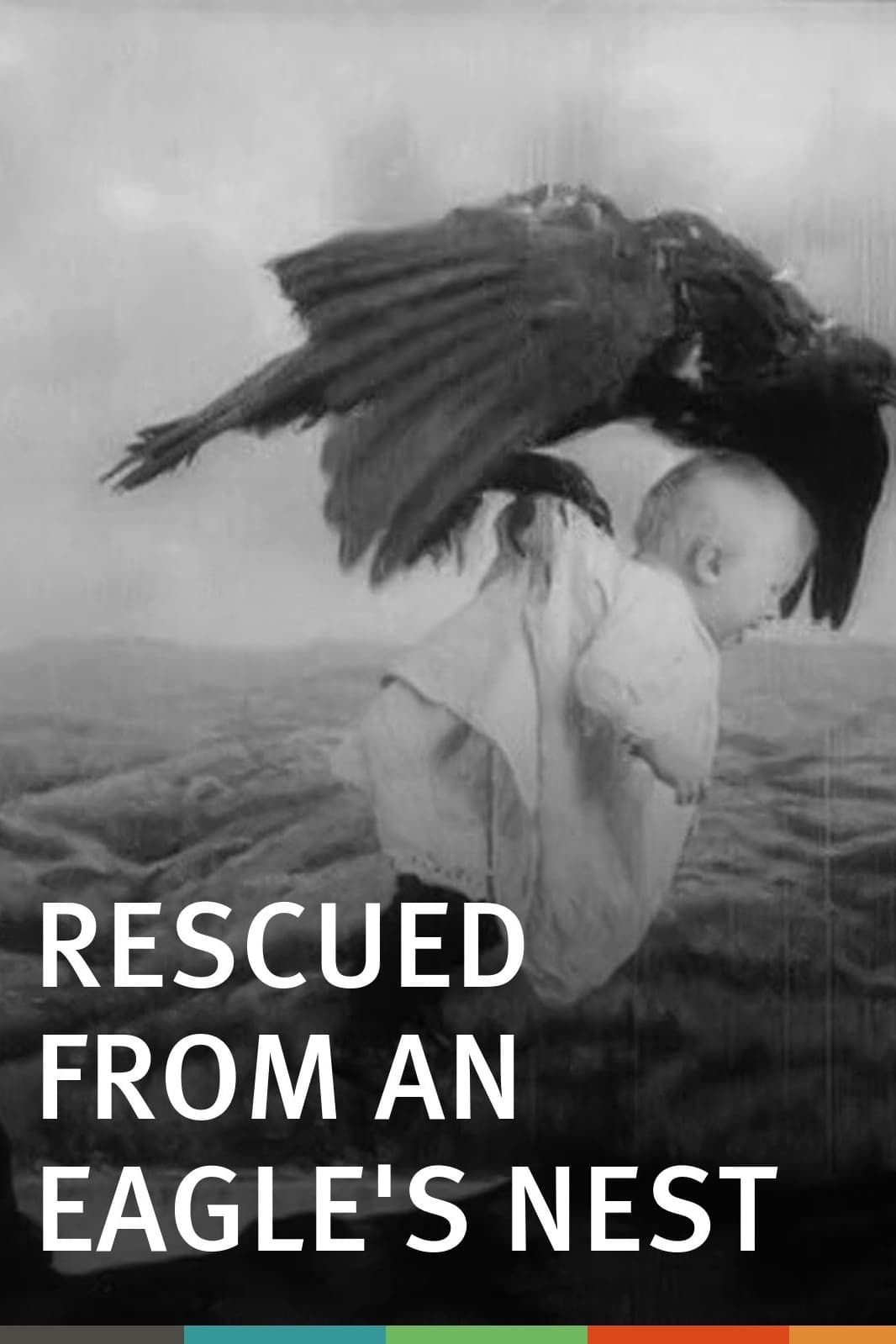 Rescued from an Eagle's Nest | Rescued from an Eagle's Nest