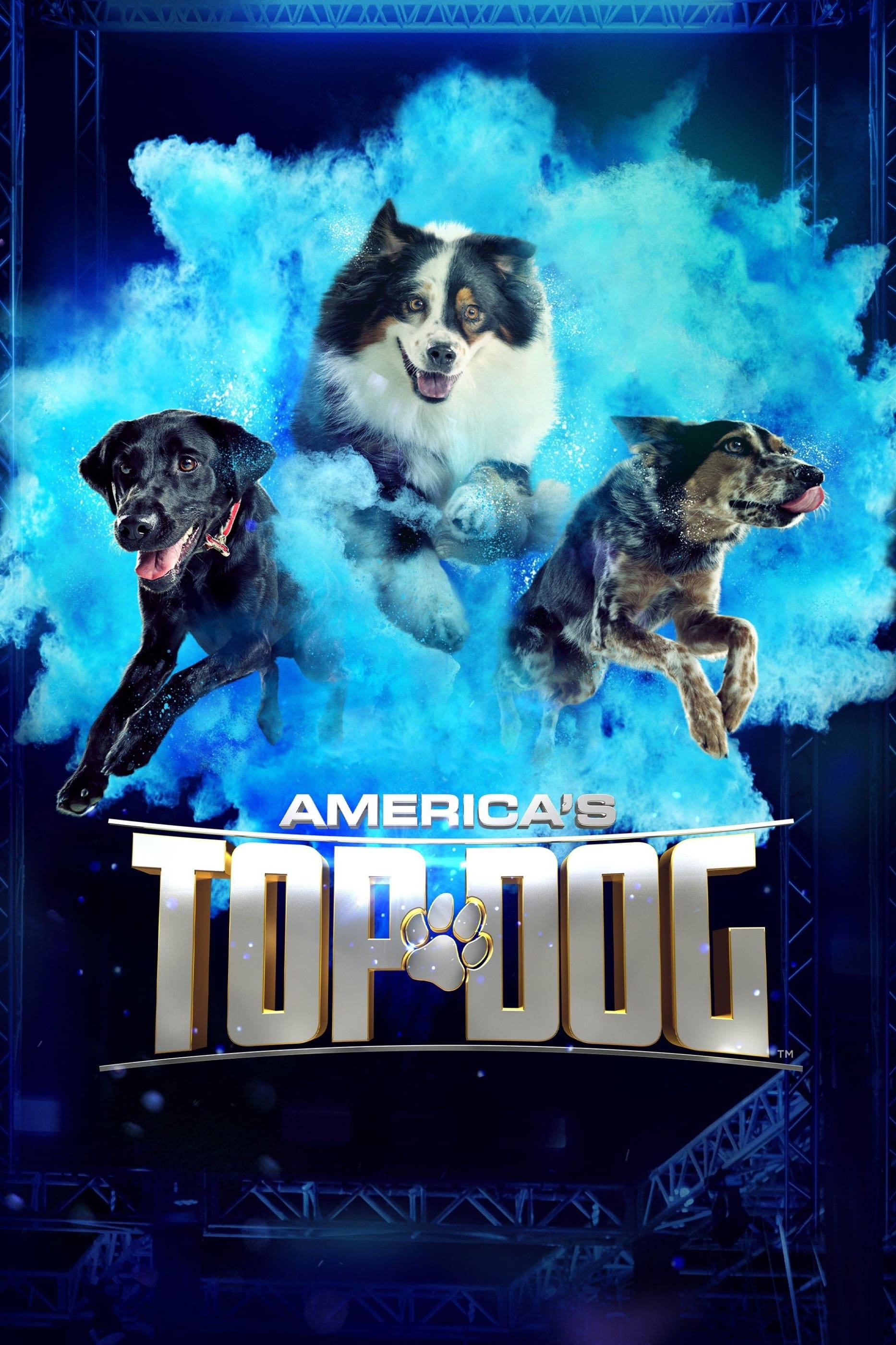 America's Top Dog | America's Top Dog