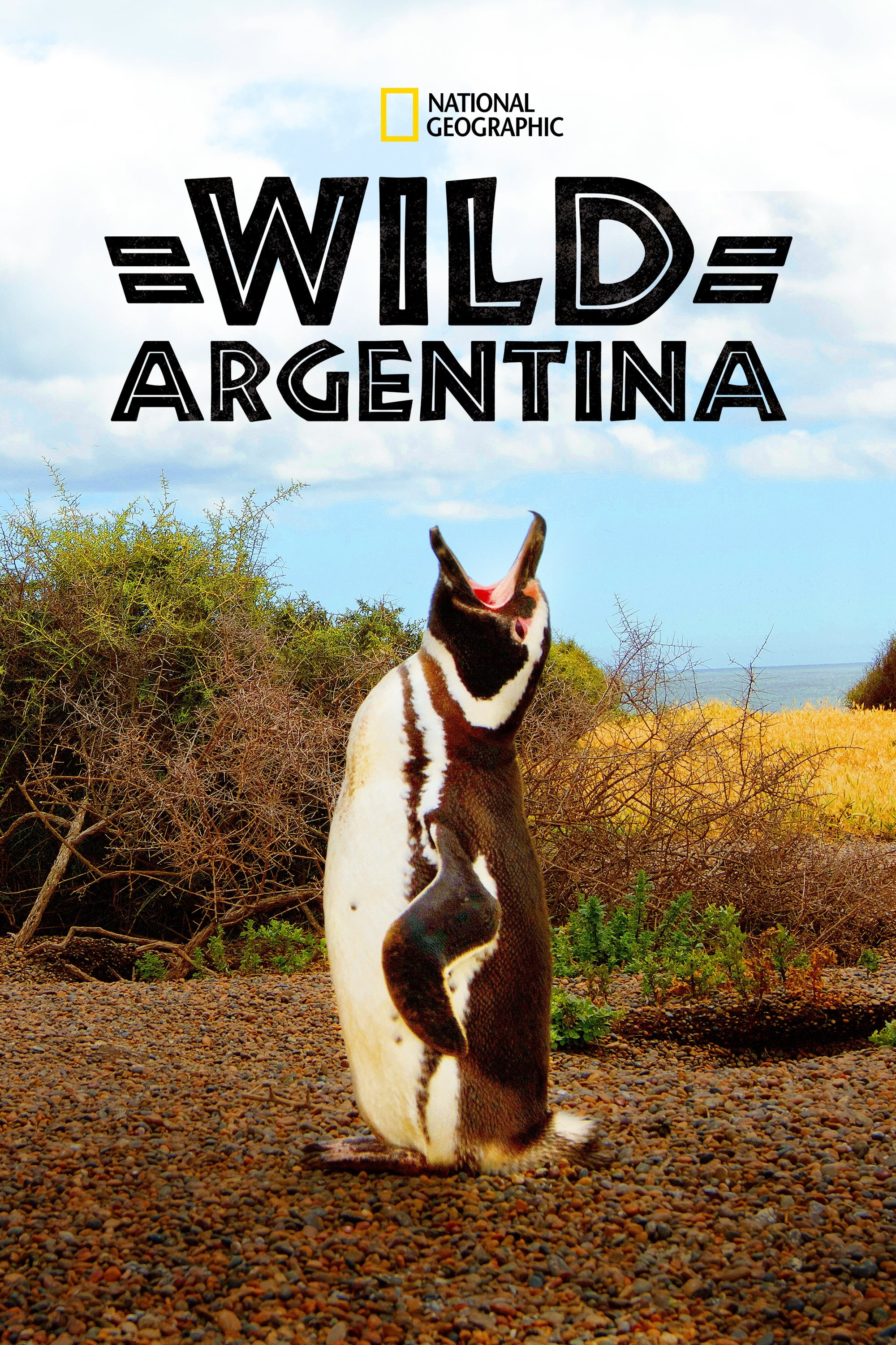 Wild Argentina | Wild Argentina