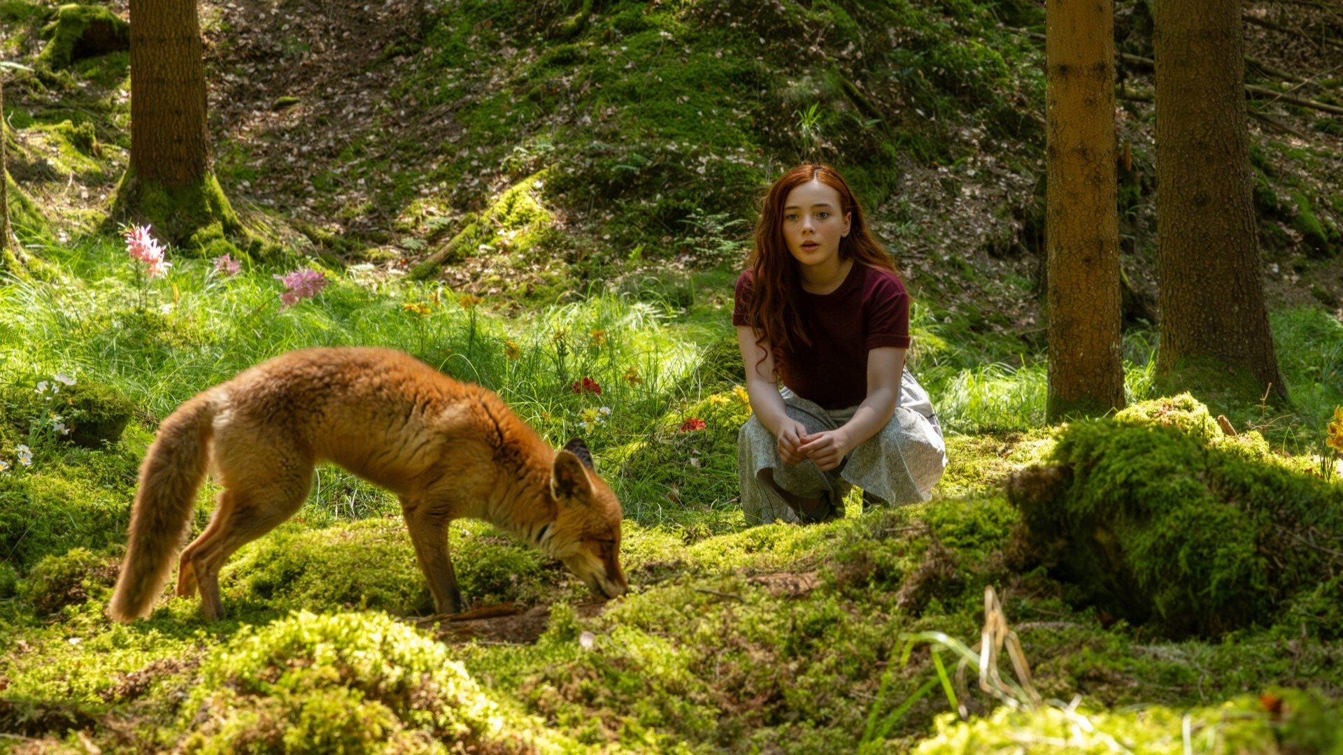 Ein Mädchen namens Willow|Ein Mädchen namens Willow