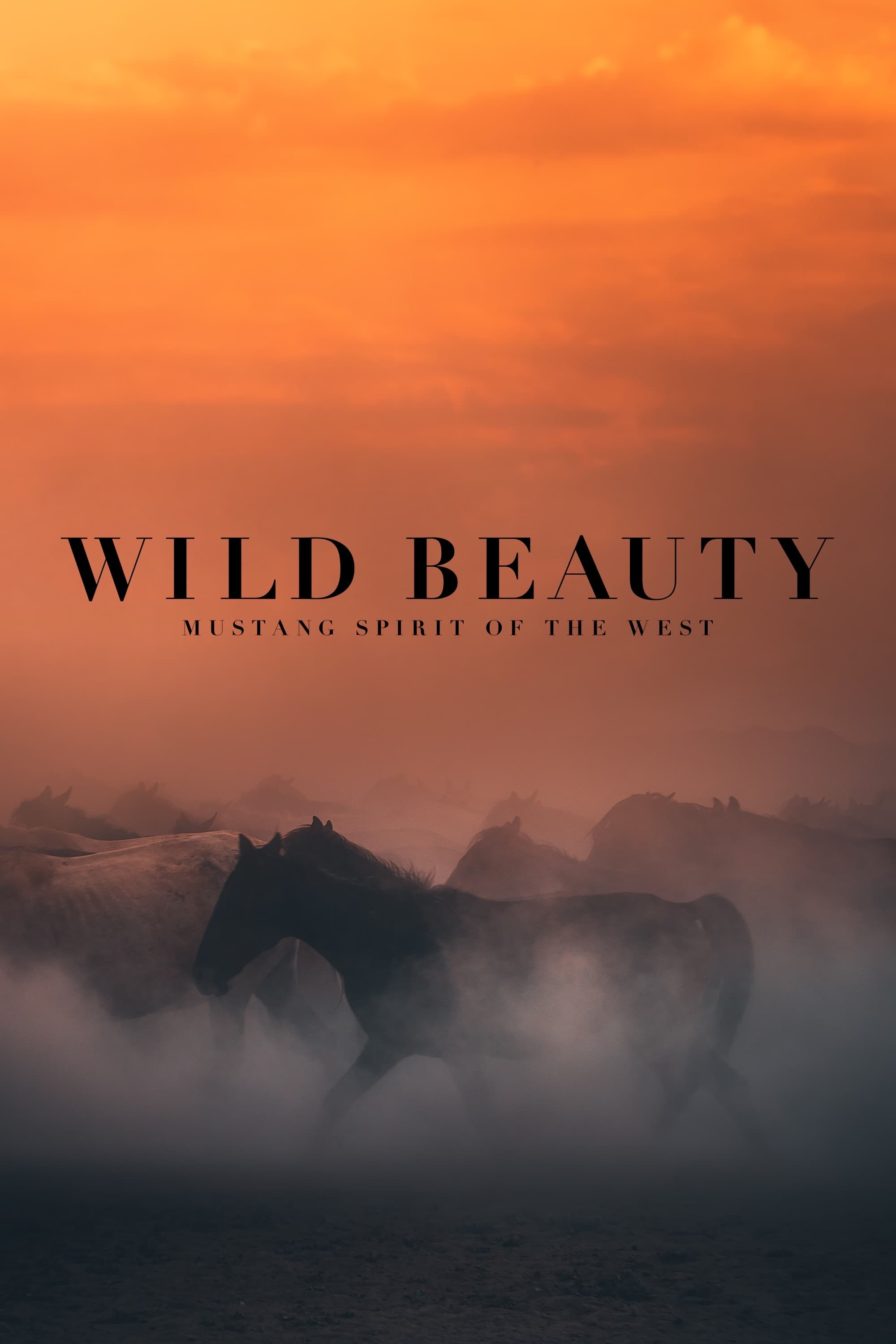 Wild Beauty: Mustang Spirit of the West | Wild Beauty: Mustang Spirit of the West