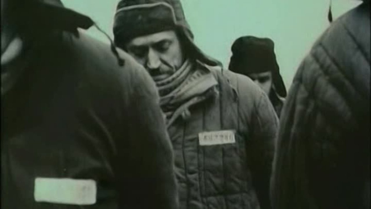 Vernyy Ruslan (Istoriya karaulnoy sobaki)|Vernyy Ruslan (Istoriya karaulnoy sobaki)