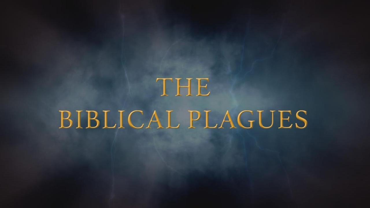 The Biblical Plagues|The Biblical Plagues