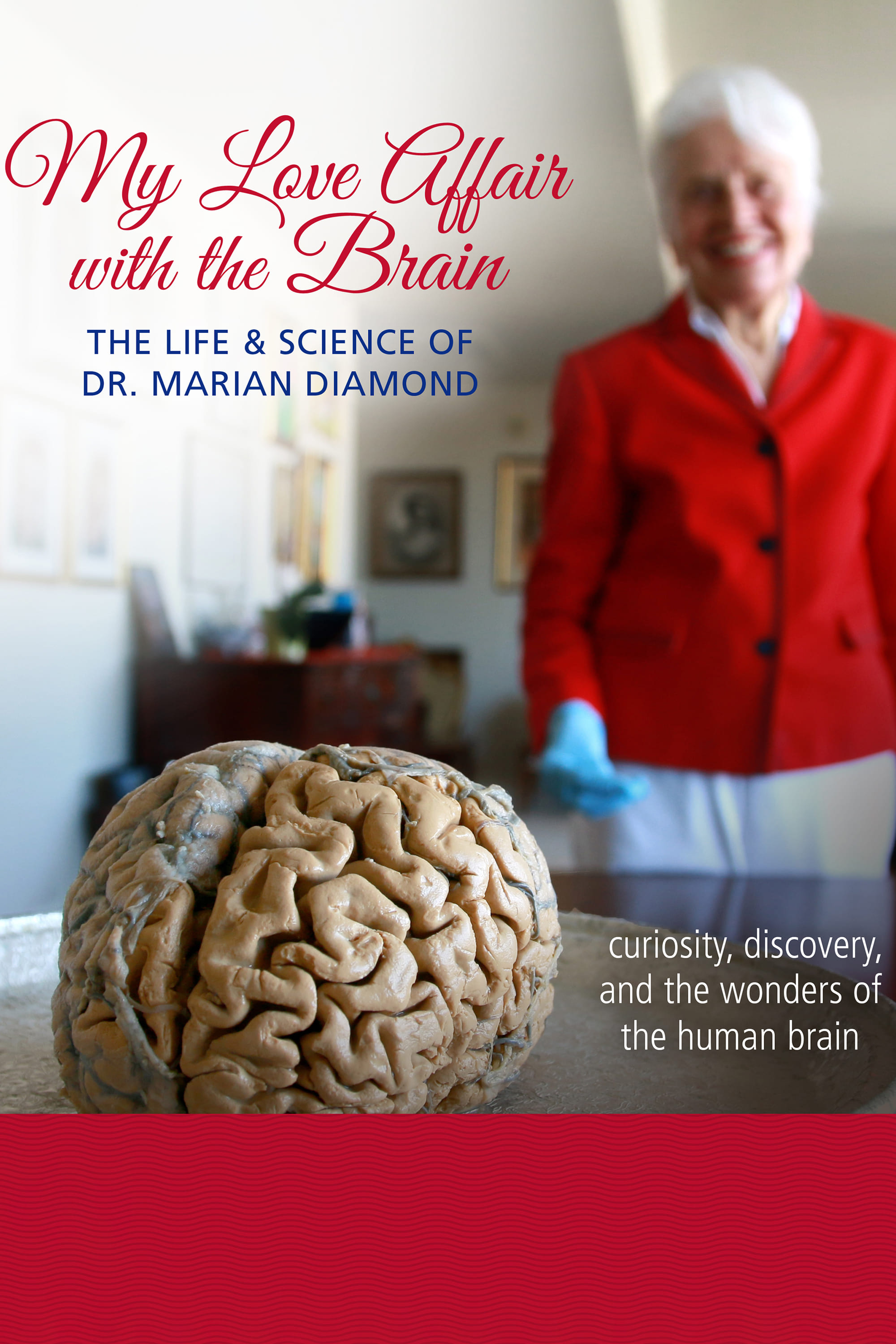 My Love Affair with the Brain | My Love Affair with the Brain