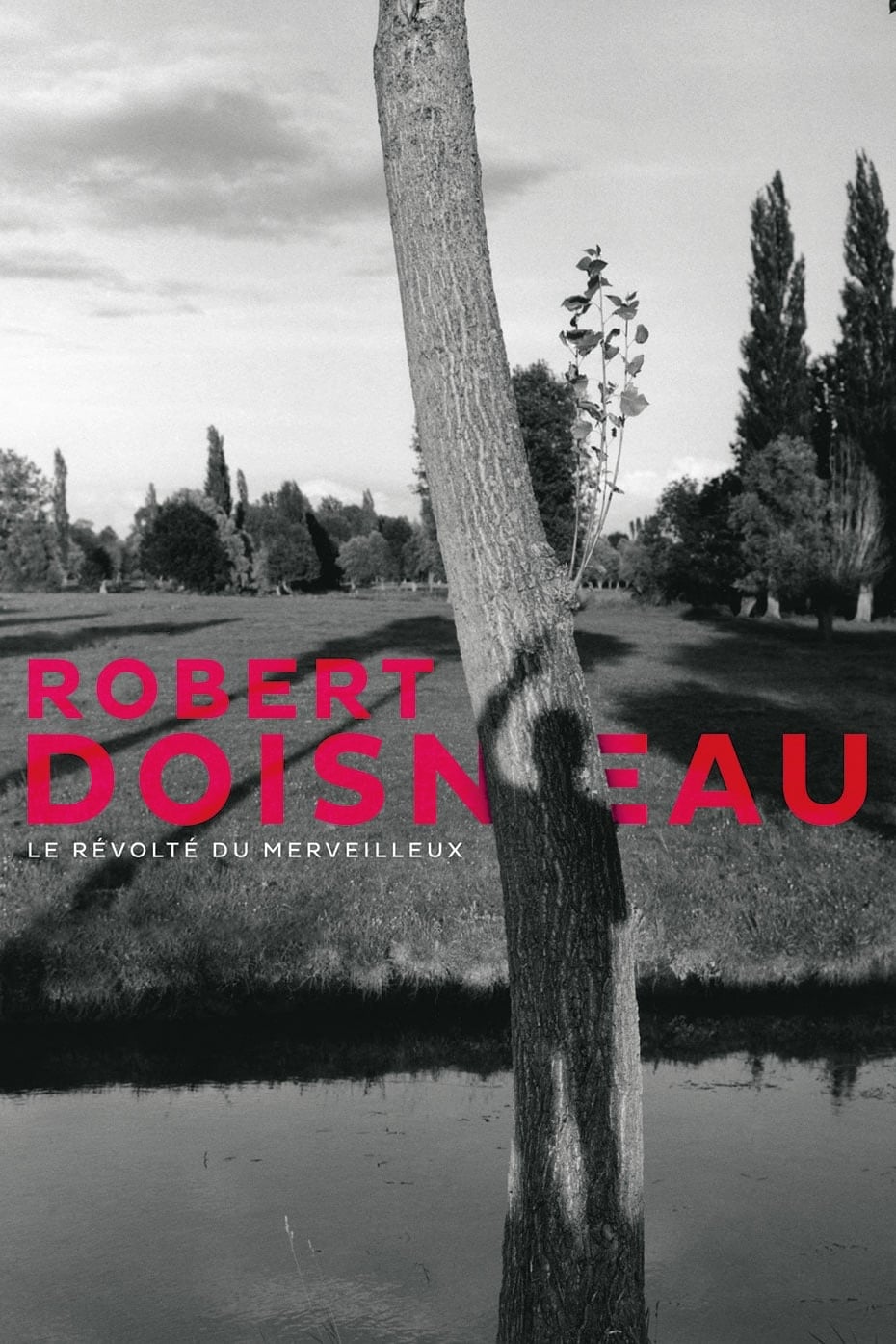 Robert Doisneau, le révolté du merveilleux | Robert Doisneau, le révolté du merveilleux