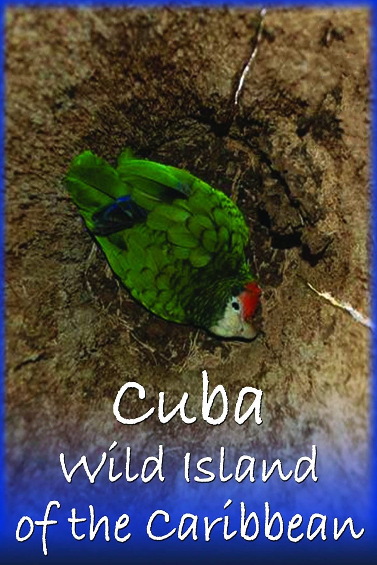 Cuba: Wild Island of the Caribbean | Cuba: Wild Island of the Caribbean