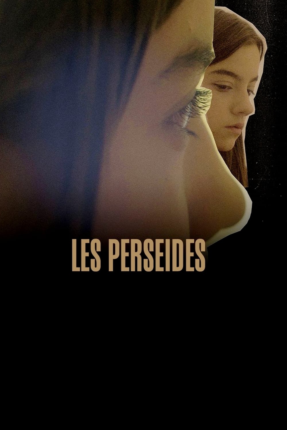 Les perseides | Les perseides