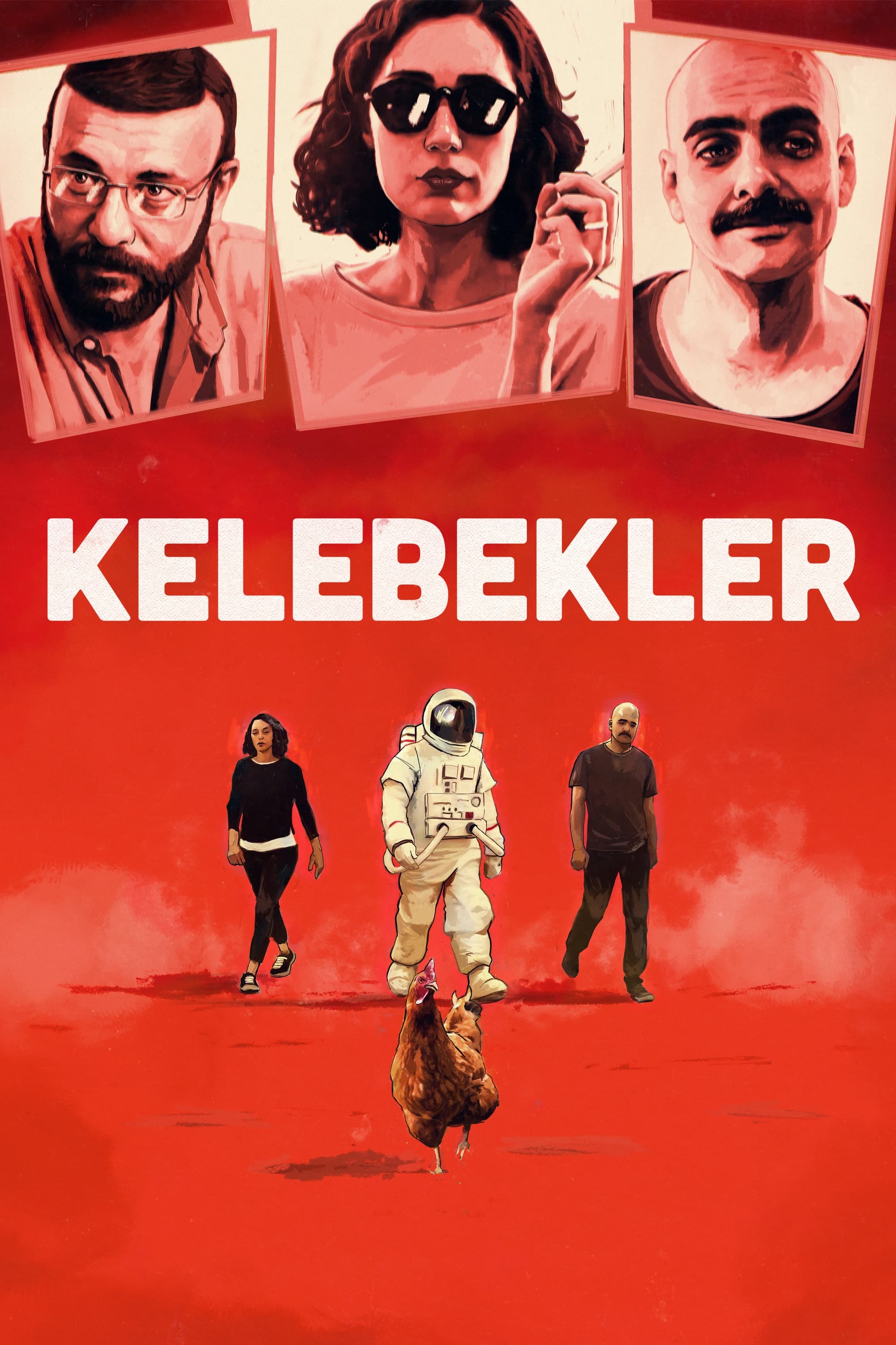 Kelebekler | Kelebekler