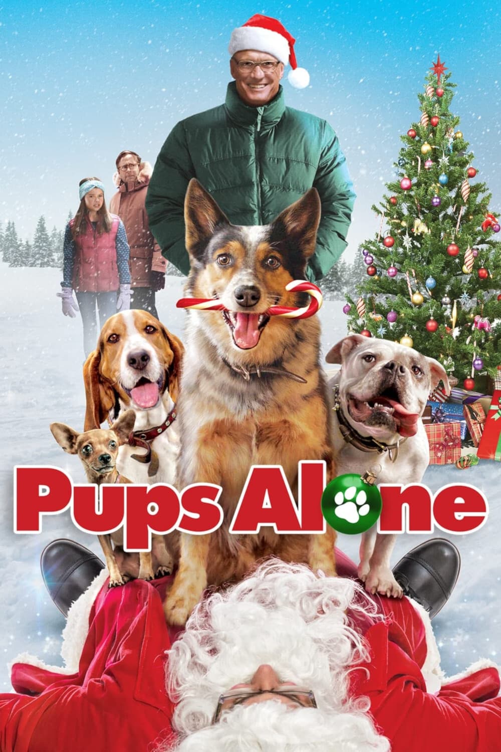 Pups Alone | Pups Alone