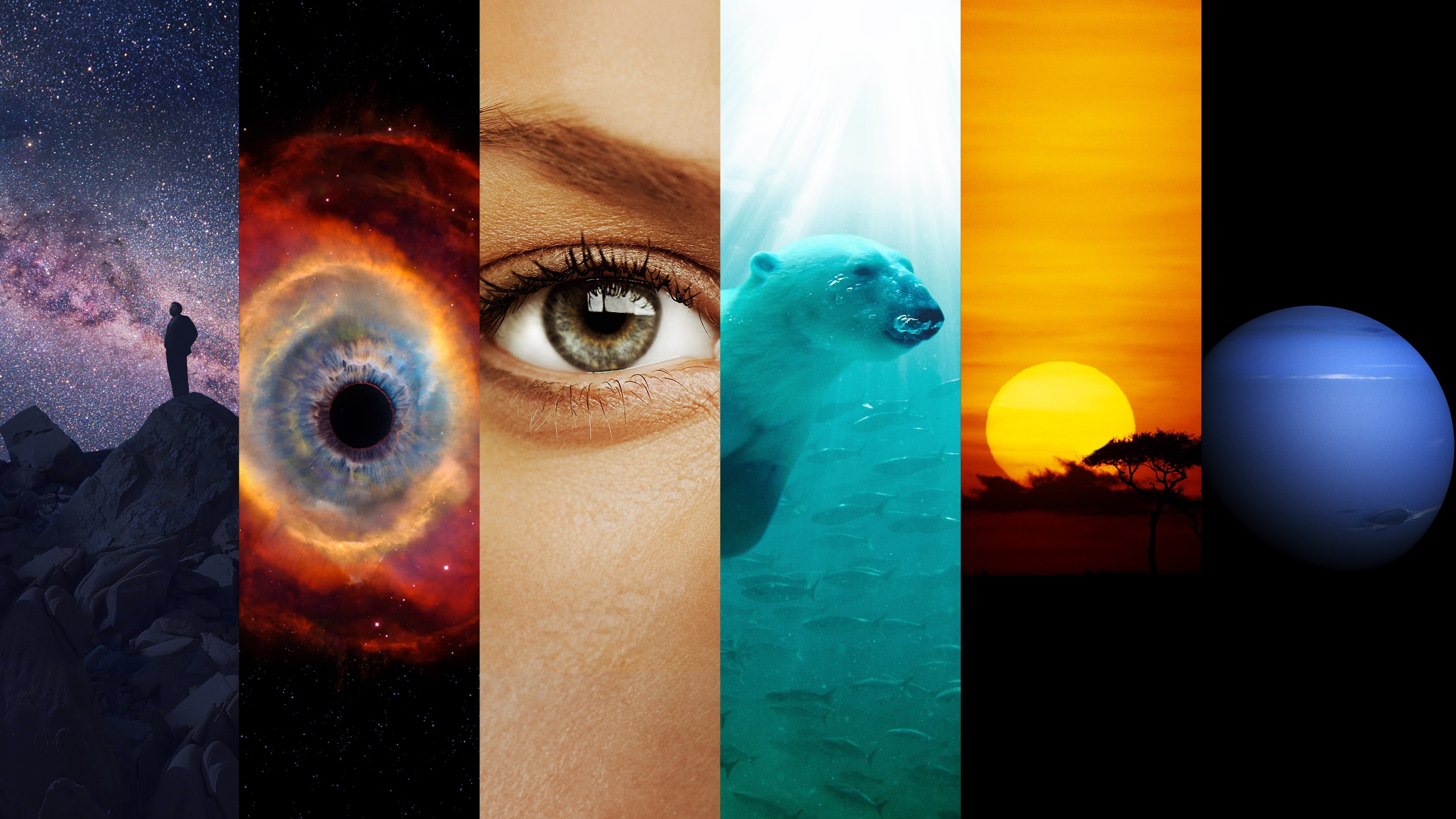کیهان|Cosmos