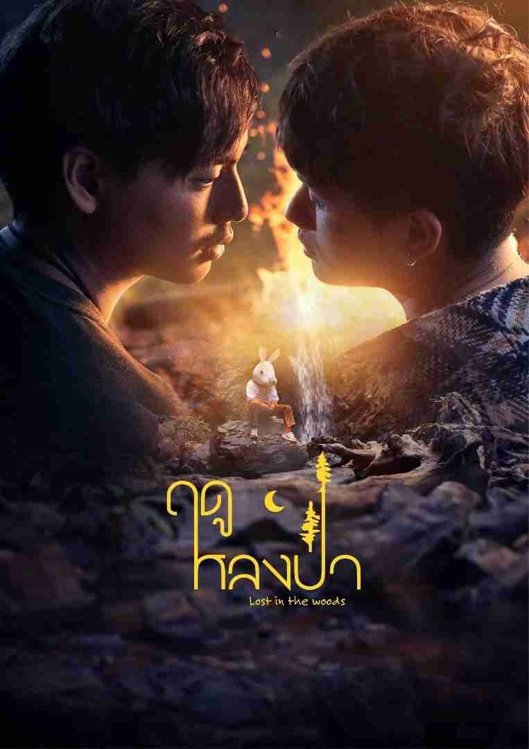 ฤดูหลงป่า | ฤดูหลงป่า