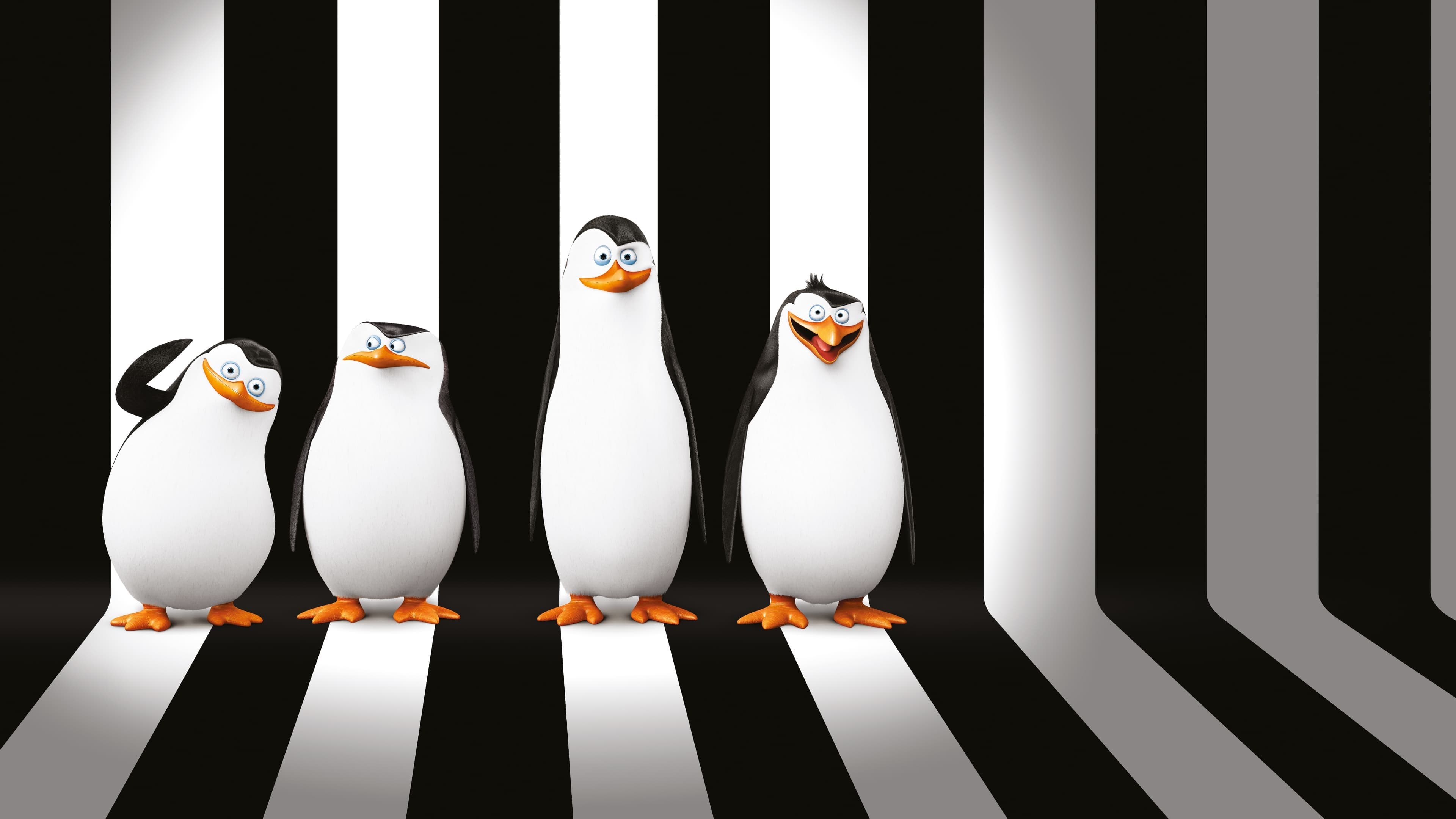 پنگوئن‌های ماداگاسکار|Penguins of Madagascar