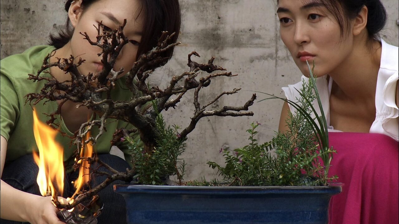 다시 태어나고 싶어요, 안양에|다시 태어나고 싶어요, 안양에