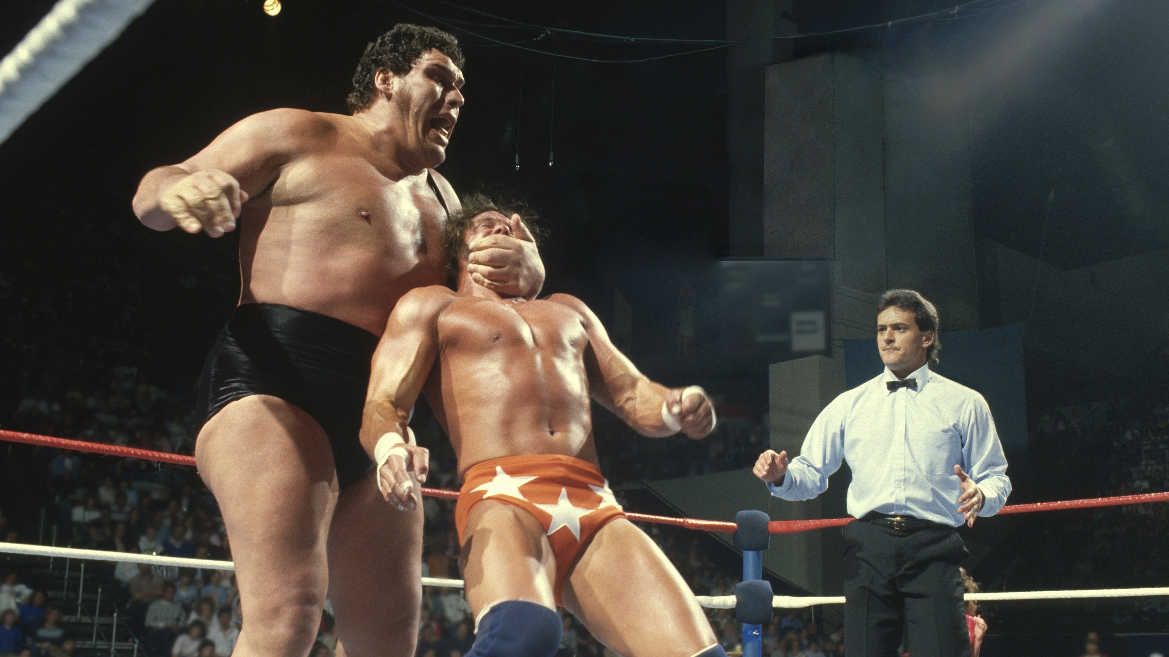 Andre the Giant|Andre the Giant