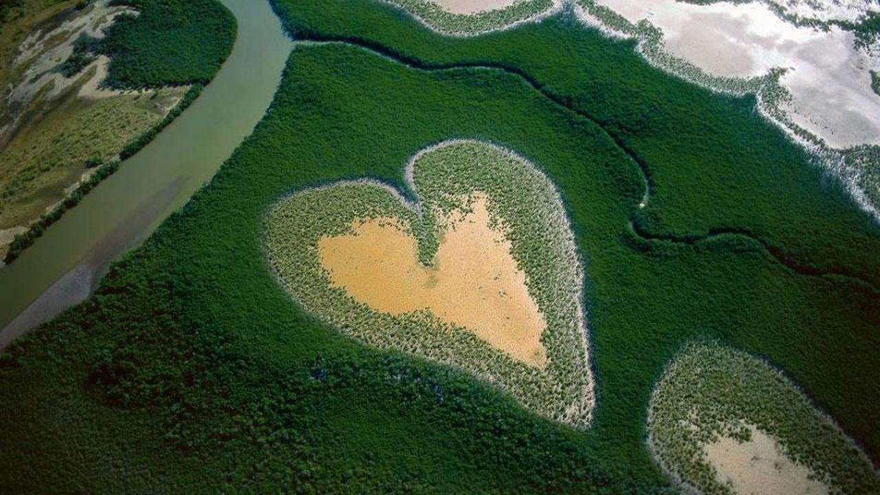 La Terre vue du ciel|La Terre vue du ciel