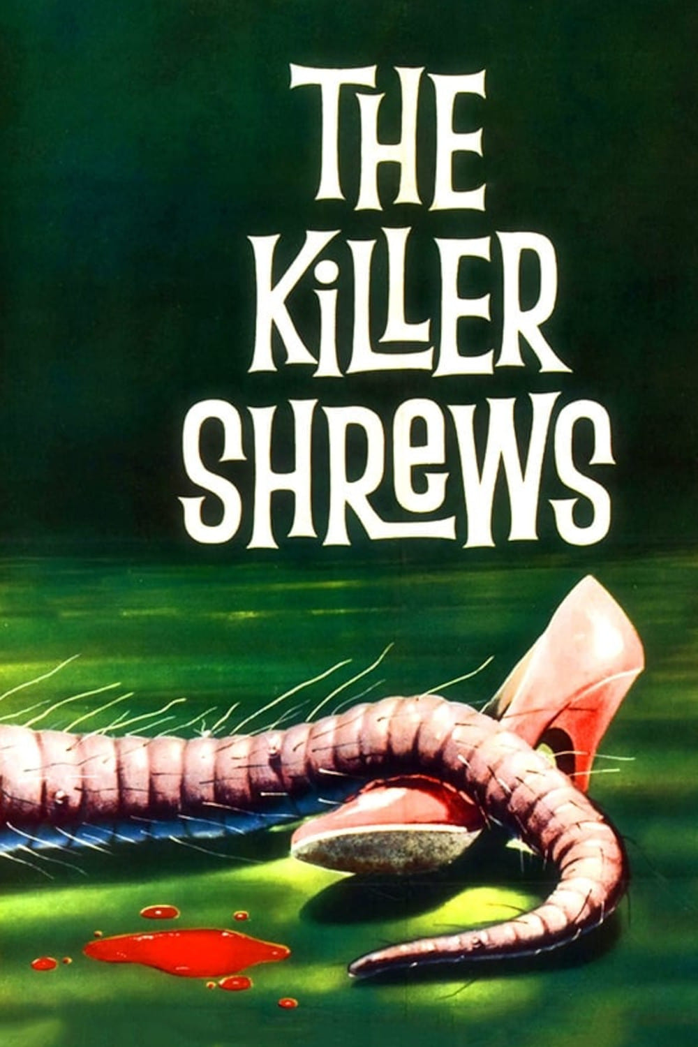 The Killer Shrews | The Killer Shrews