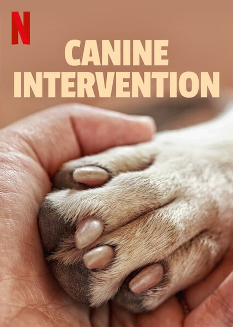 Canine Intervention | Canine Intervention