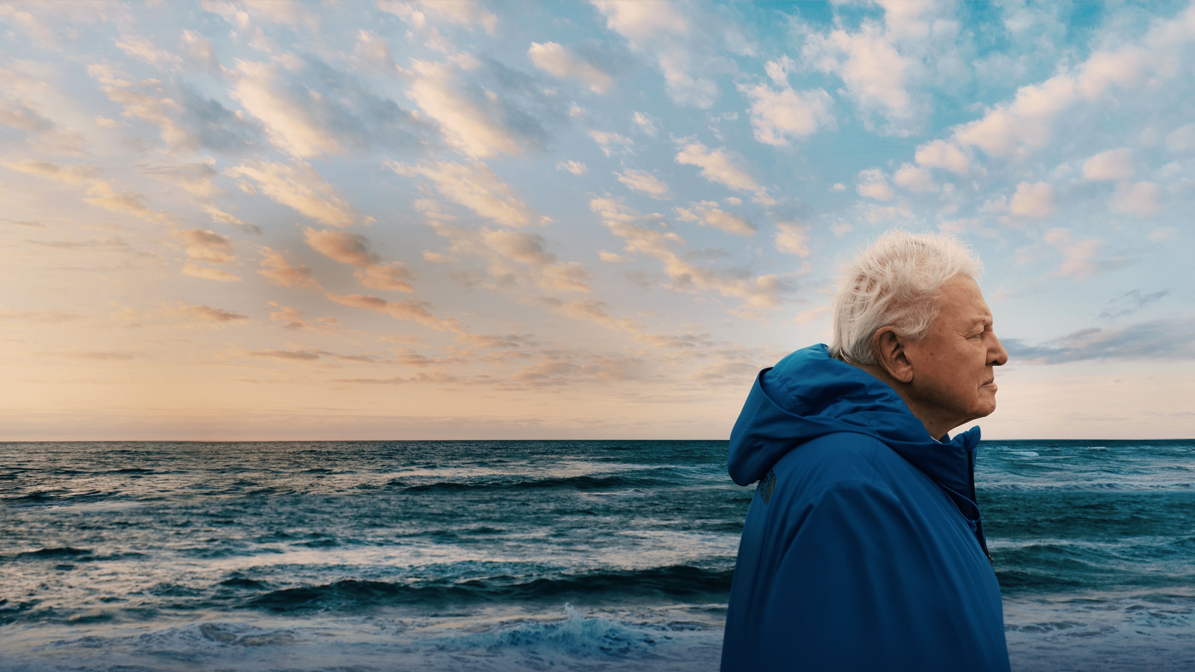 Ocean with David Attenborough|Ocean with David Attenborough