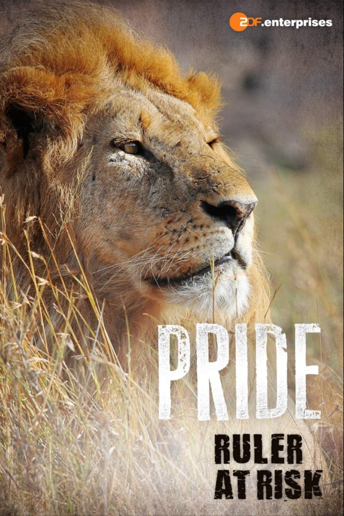 Pride Ruler at Risk | Pride Ruler at Risk