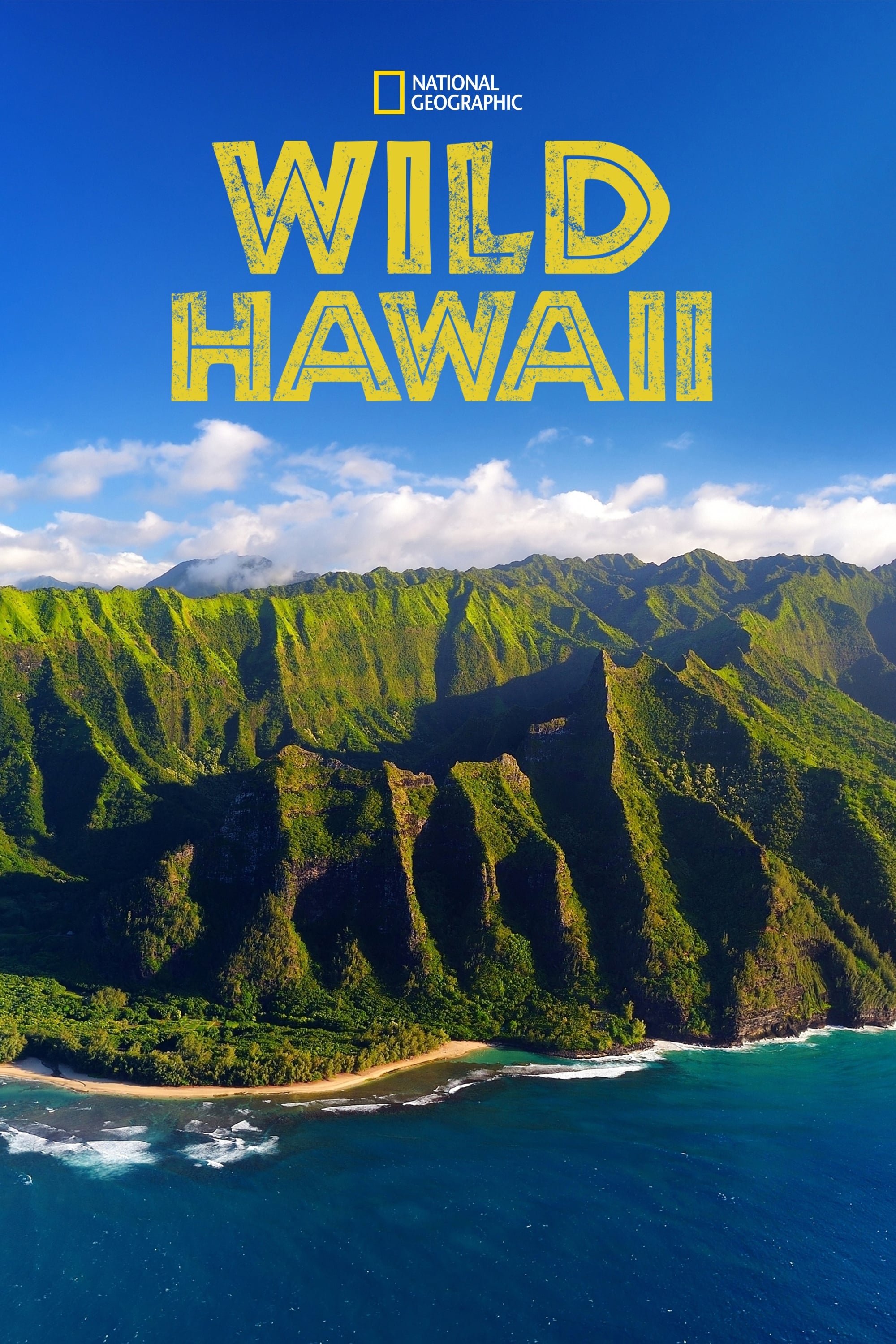 Wild Hawaii | Wild Hawaii