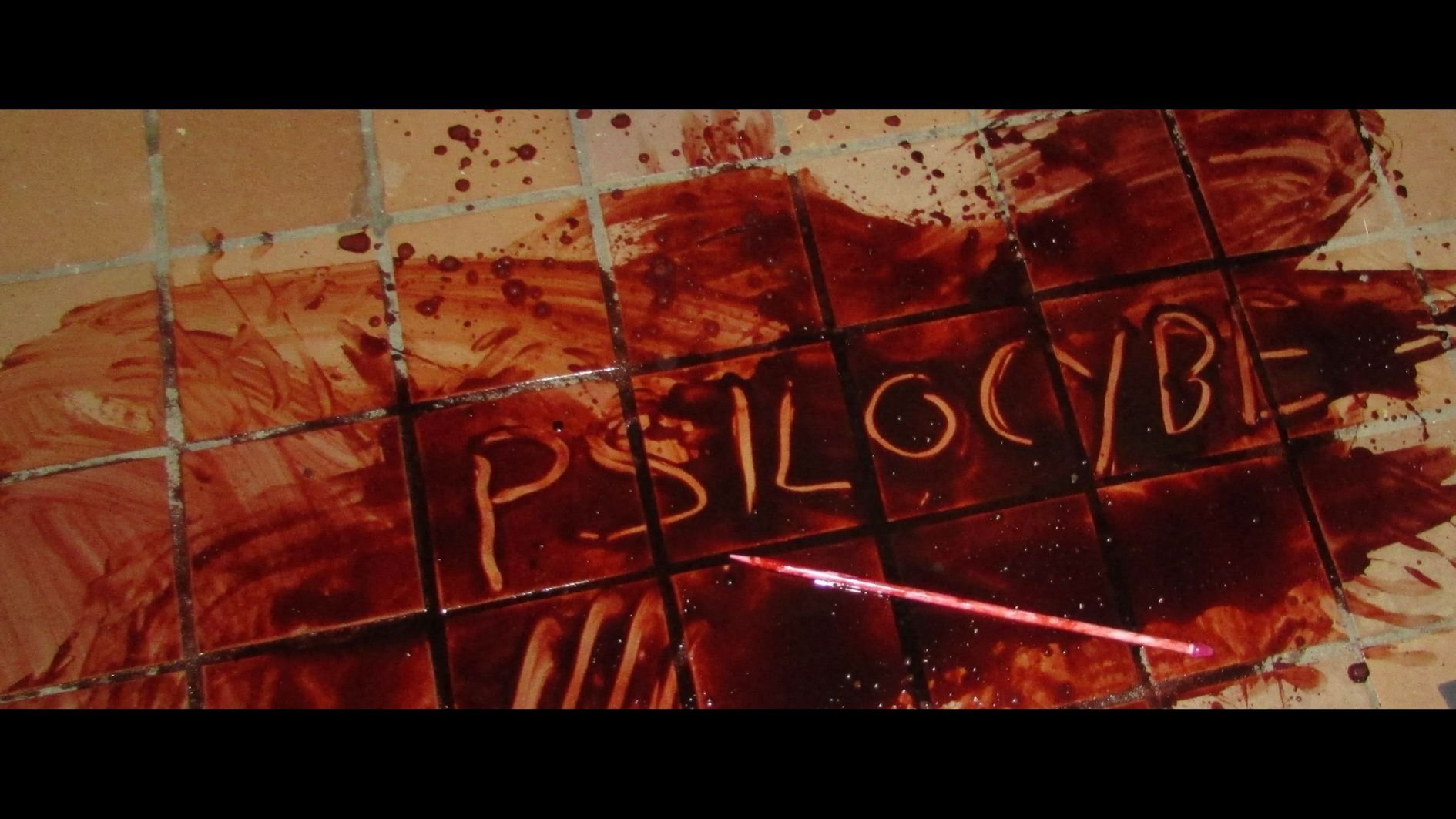 Psilocybe|Psilocybe