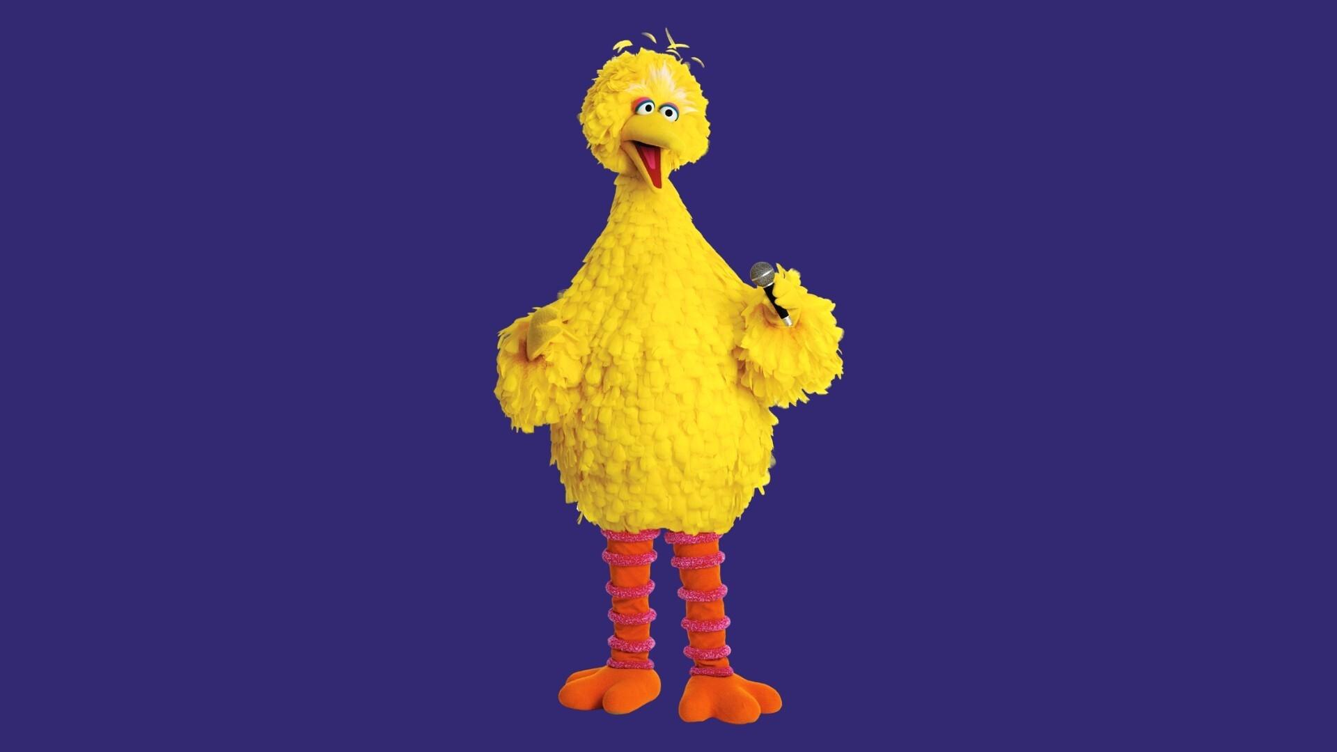 Sesame Street: Big Bird Sings!|Sesame Street: Big Bird Sings!