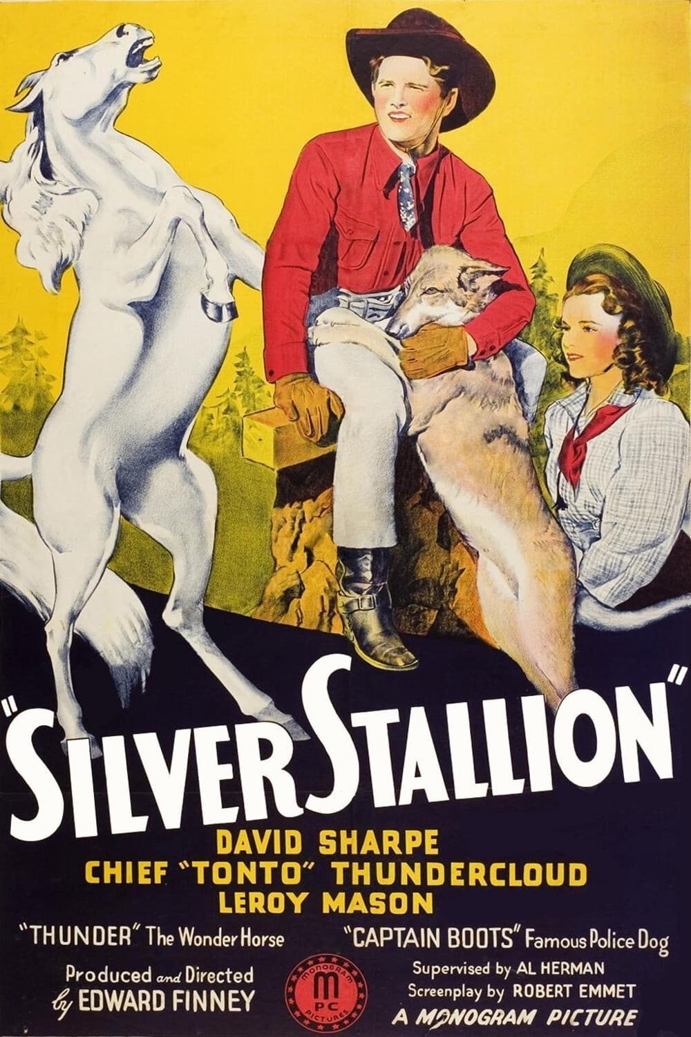 Silver Stallion | Silver Stallion