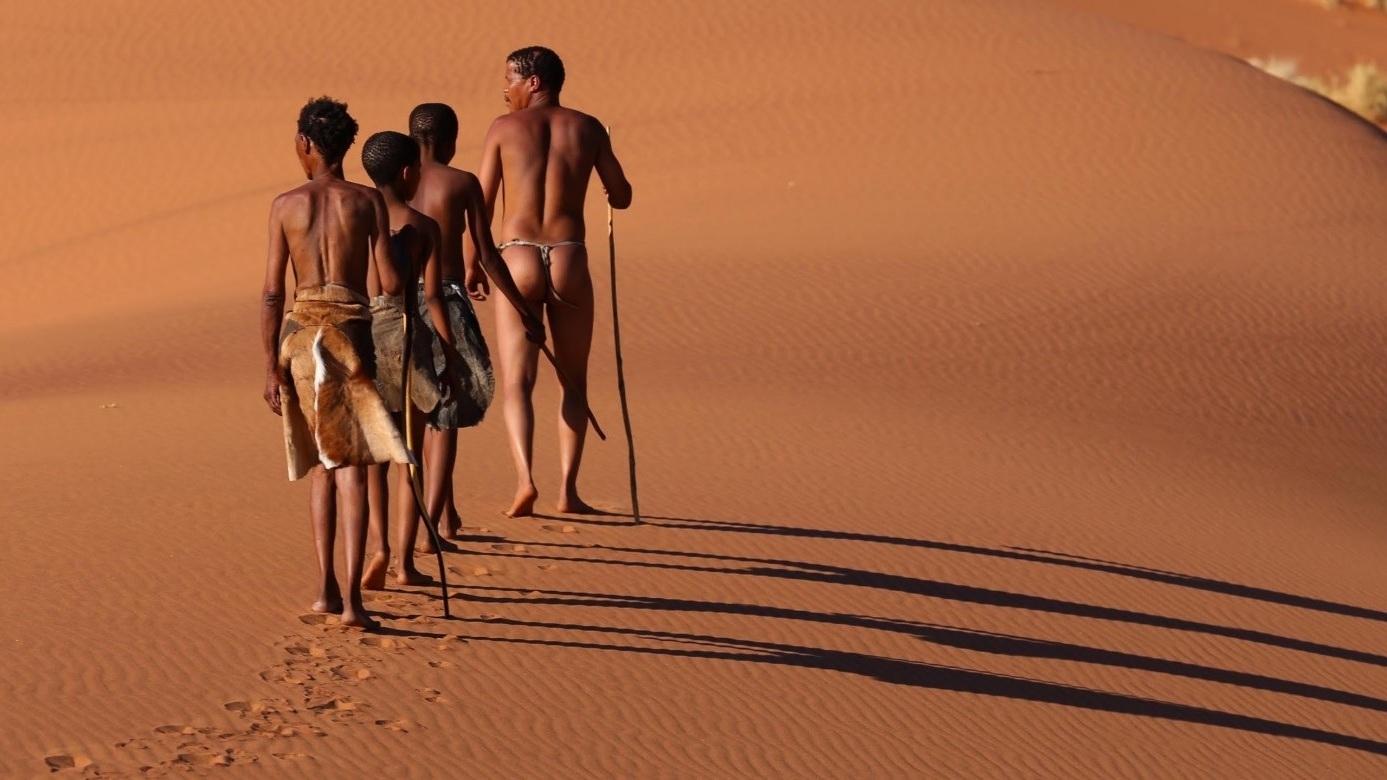 The Great Human Odyssey|The Great Human Odyssey