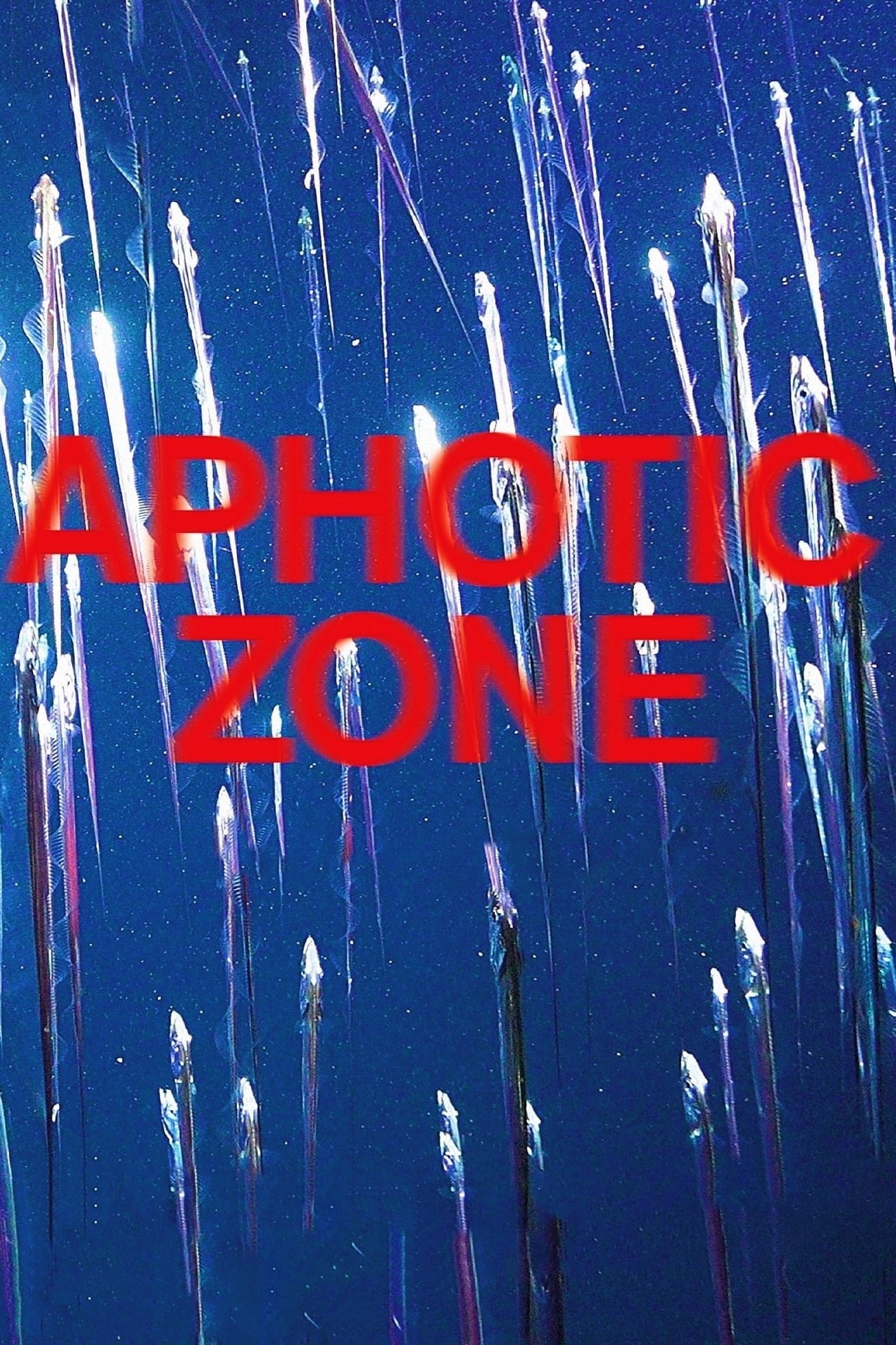 Aphotic Zone | Aphotic Zone