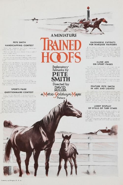 Trained Hoofs | Trained Hoofs
