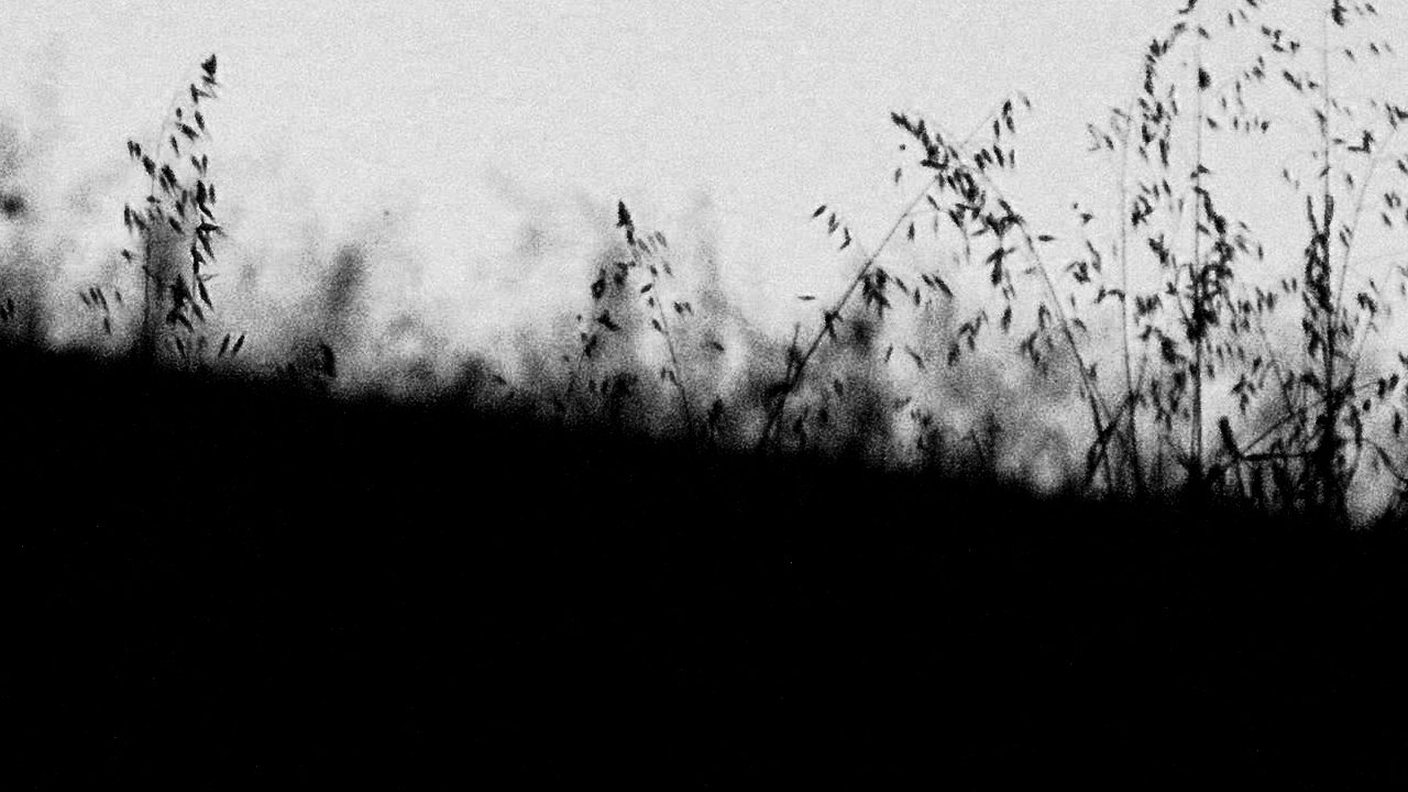 تصویر 0