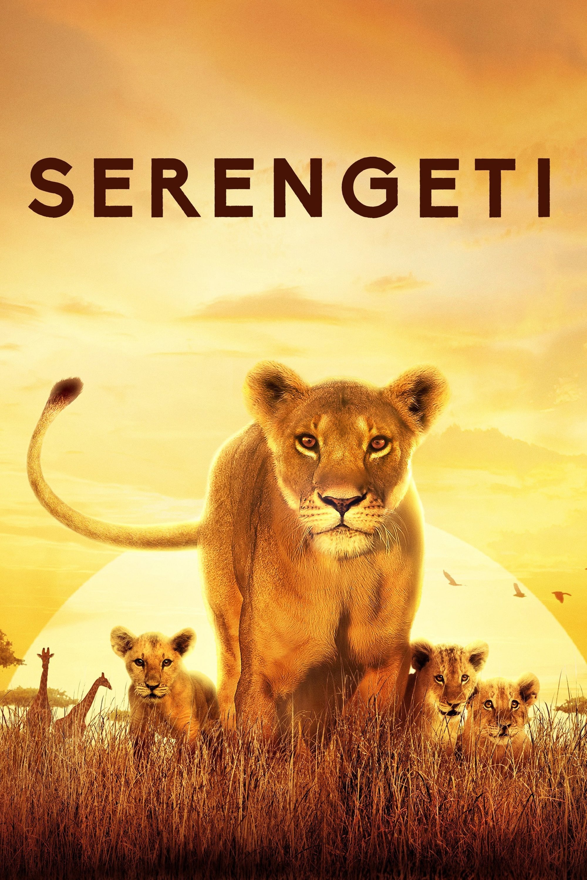 Serengeti | Serengeti