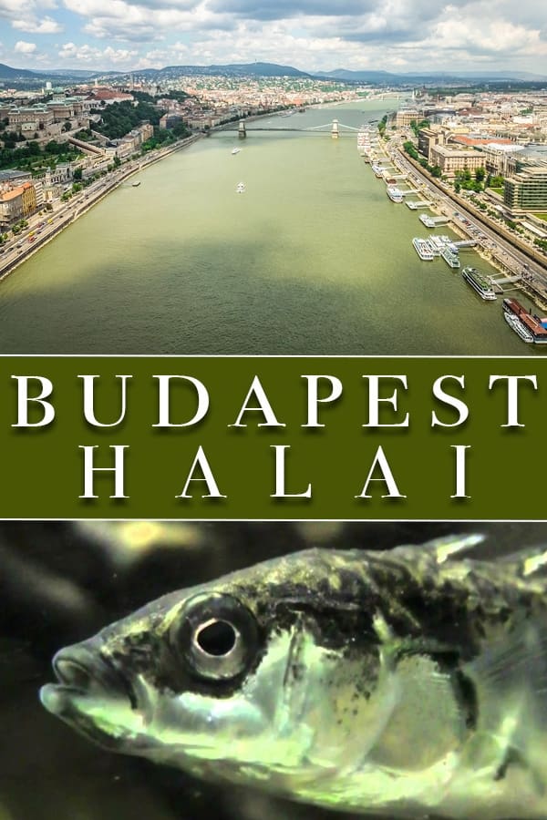 Budapest halai