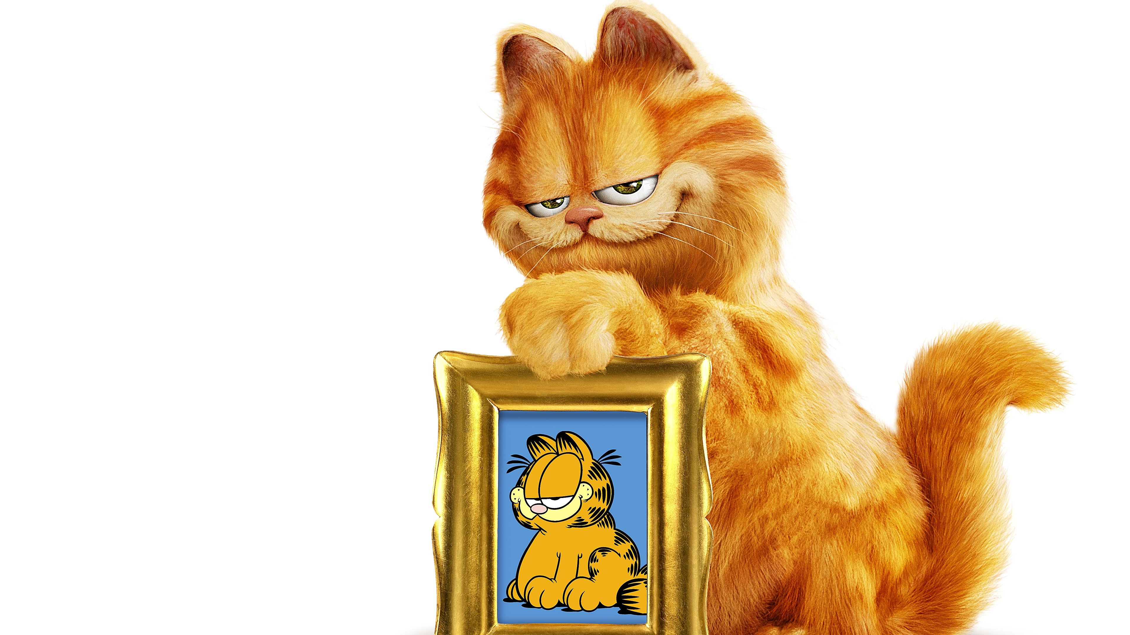 گارفیلد|Garfield