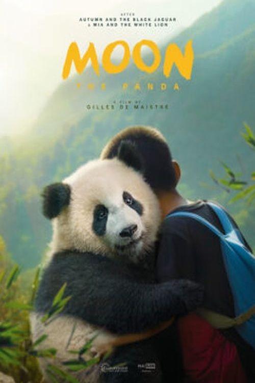 Moon le Panda