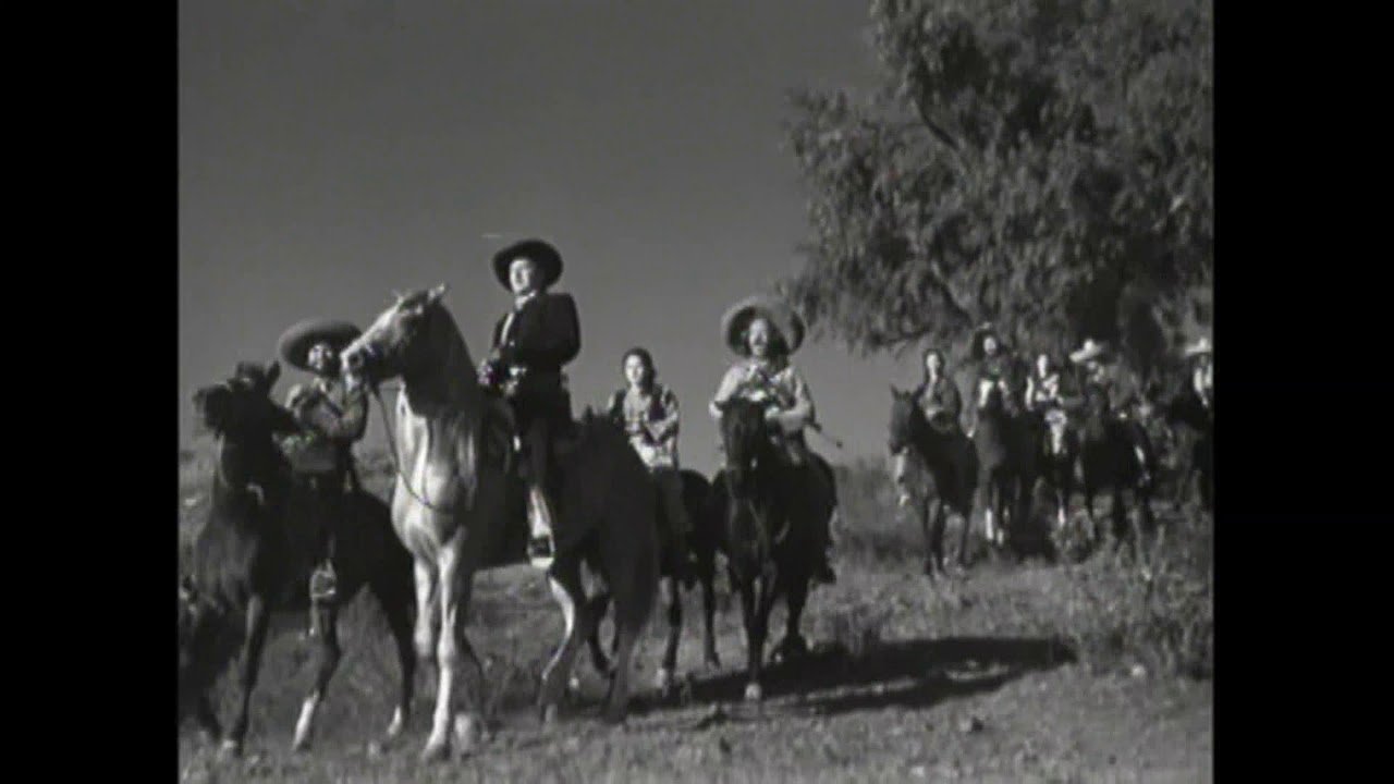 Los Gavilanes|Los Gavilanes