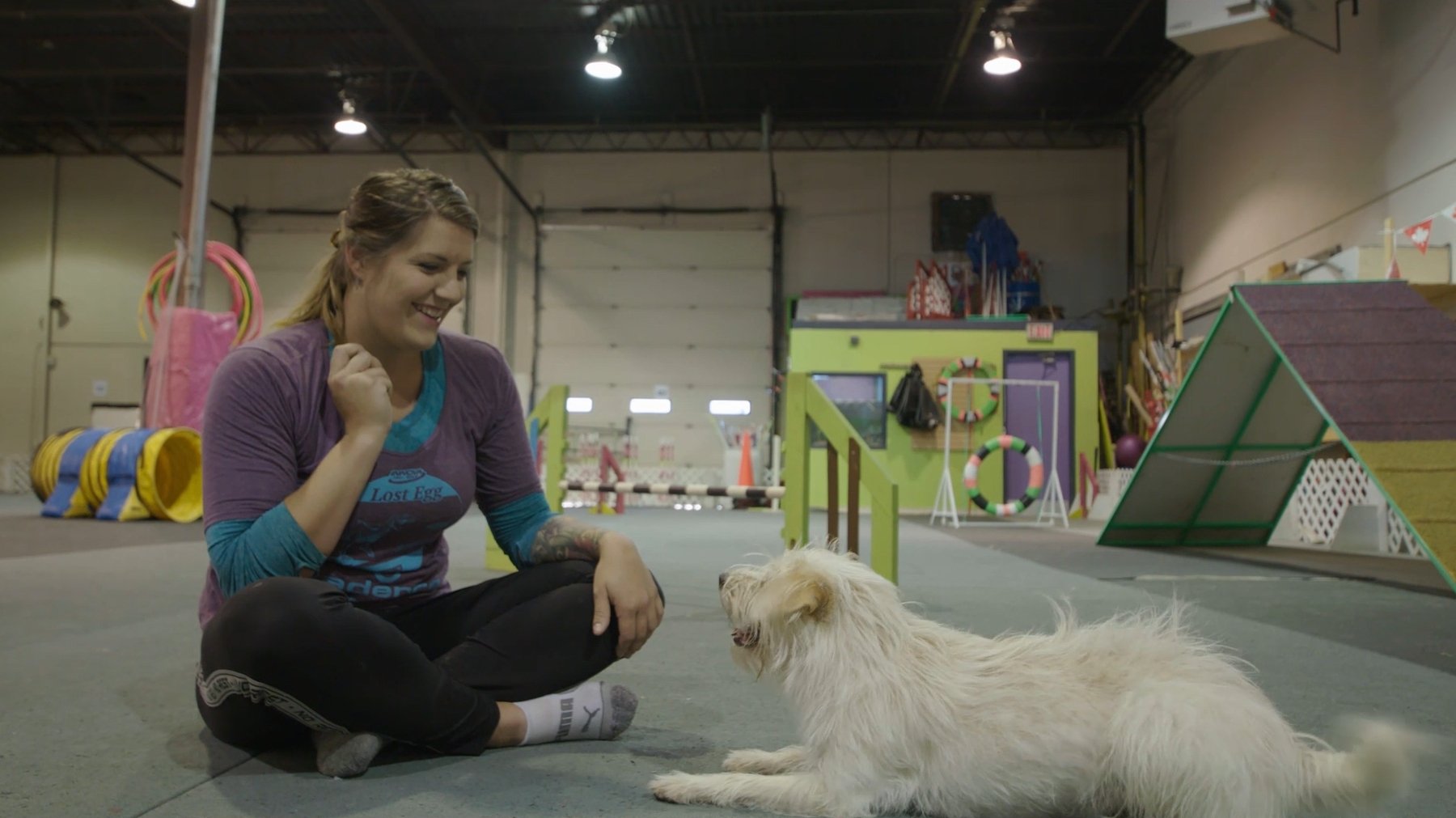 Dogsville|Dogsville