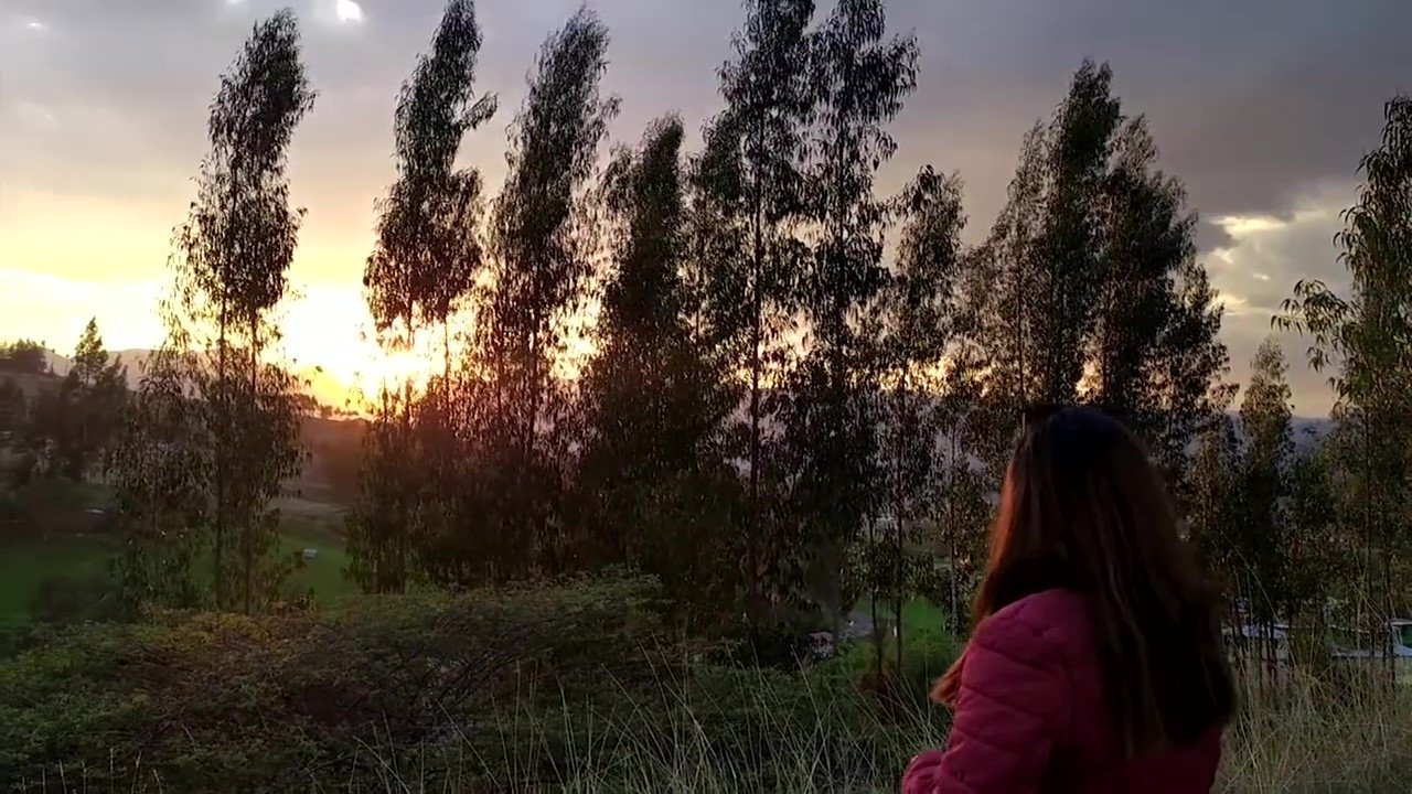 AMAUTA|AMAUTA