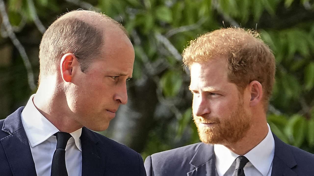 Harry vs. William: Der royale Bruderzwist|Harry vs. William: Der royale Bruderzwist