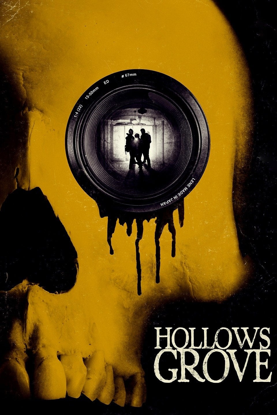 Hollows Grove | Hollows Grove