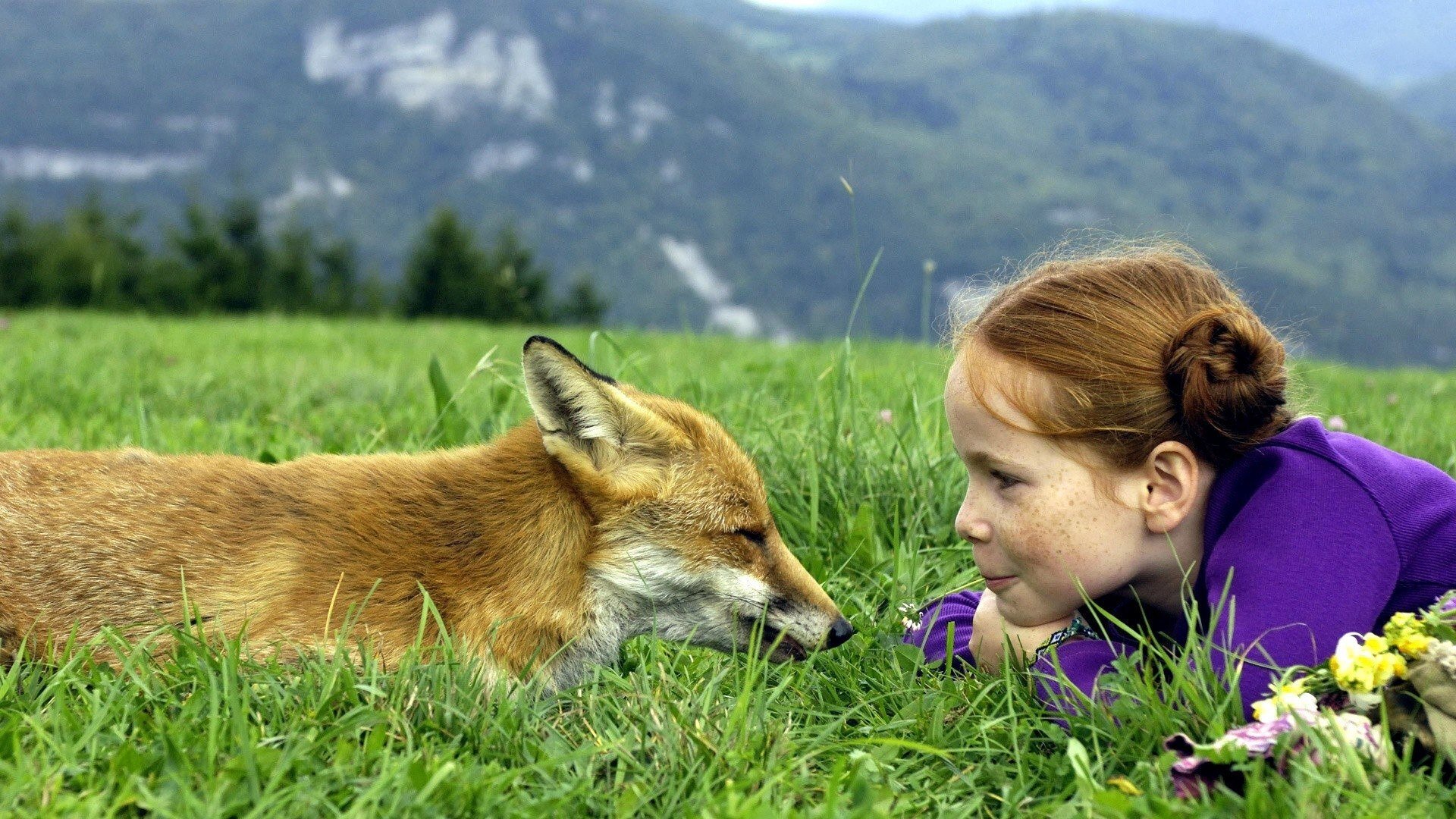 Le Renard et l'Enfant|Le Renard et l'Enfant