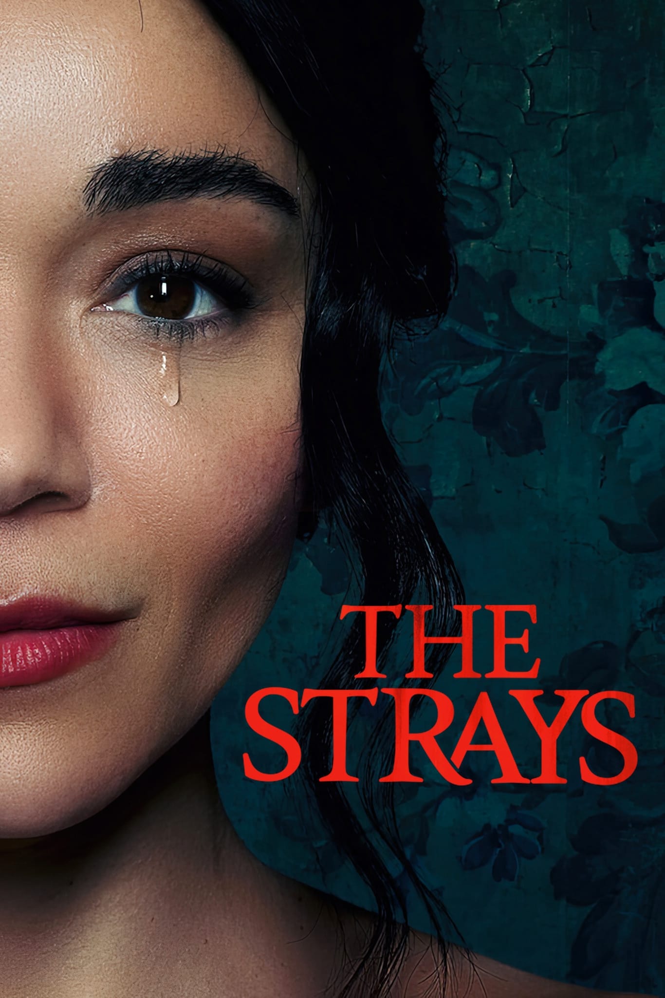 The Strays | The Strays