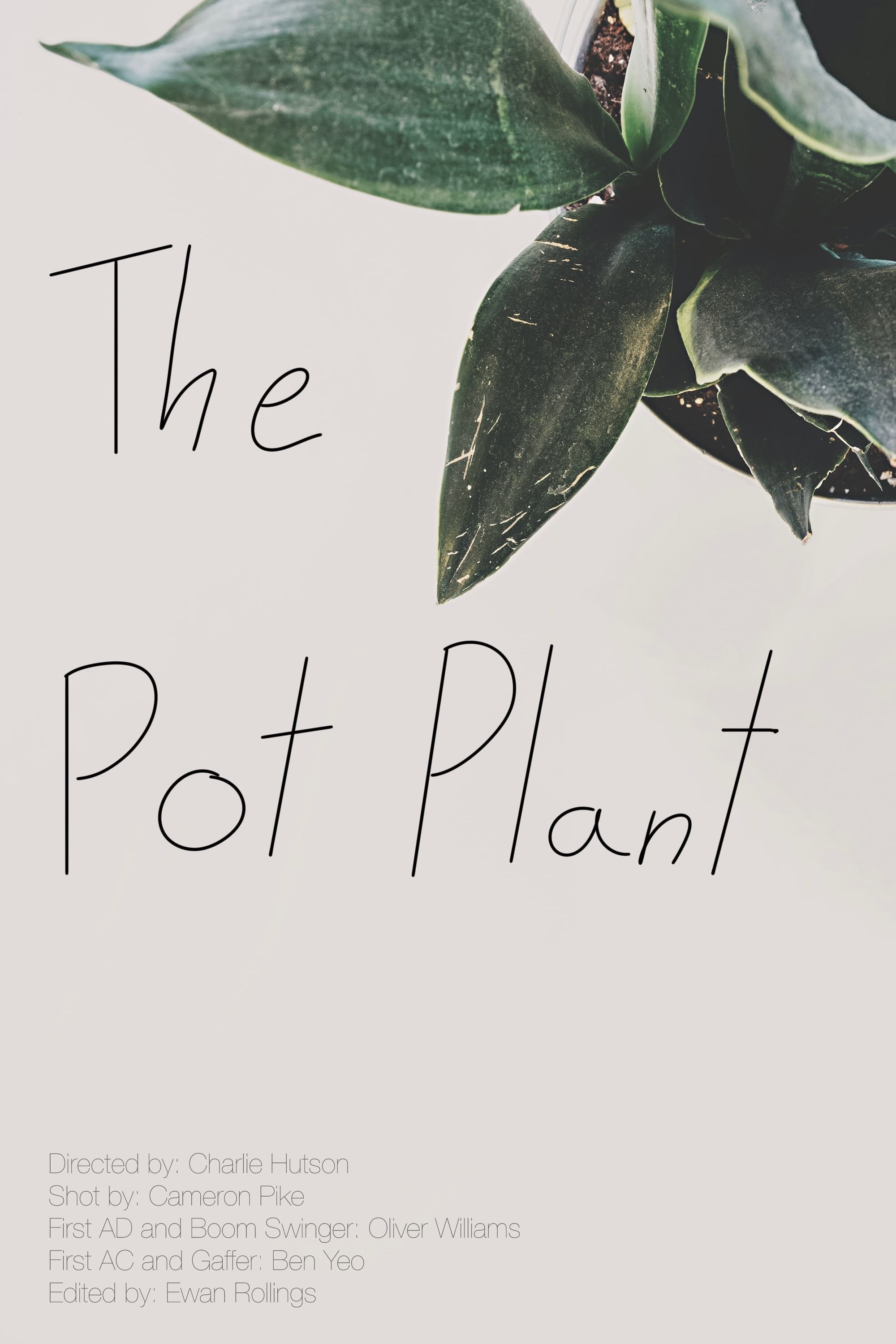 The Pot Plant | The Pot Plant