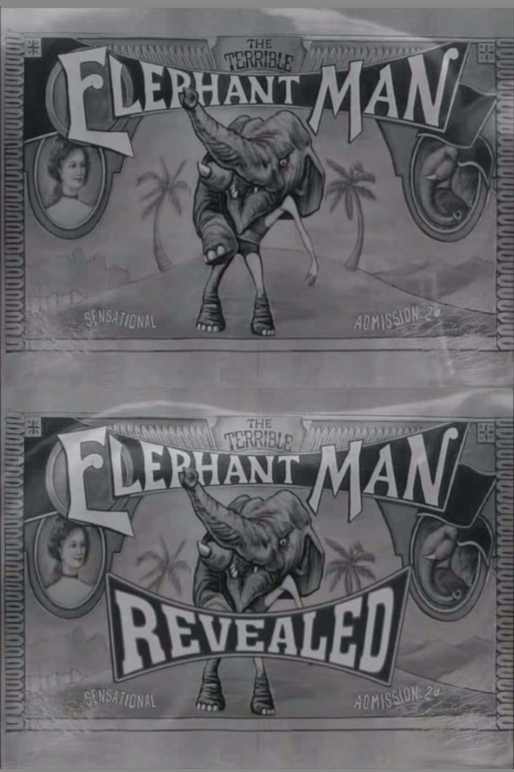 The Terrible Elephant Man Revealed | The Terrible Elephant Man Revealed