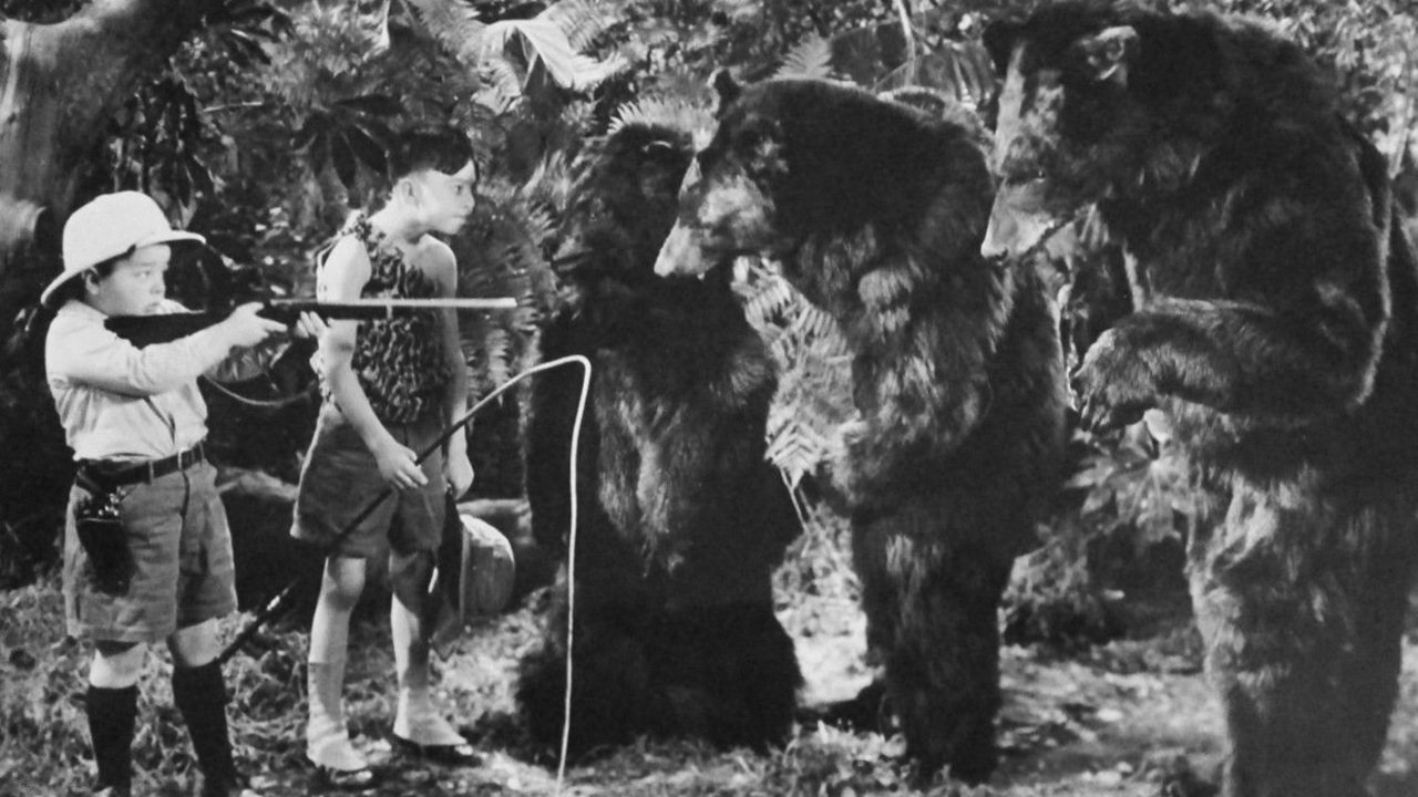 Bear Facts|Bear Facts