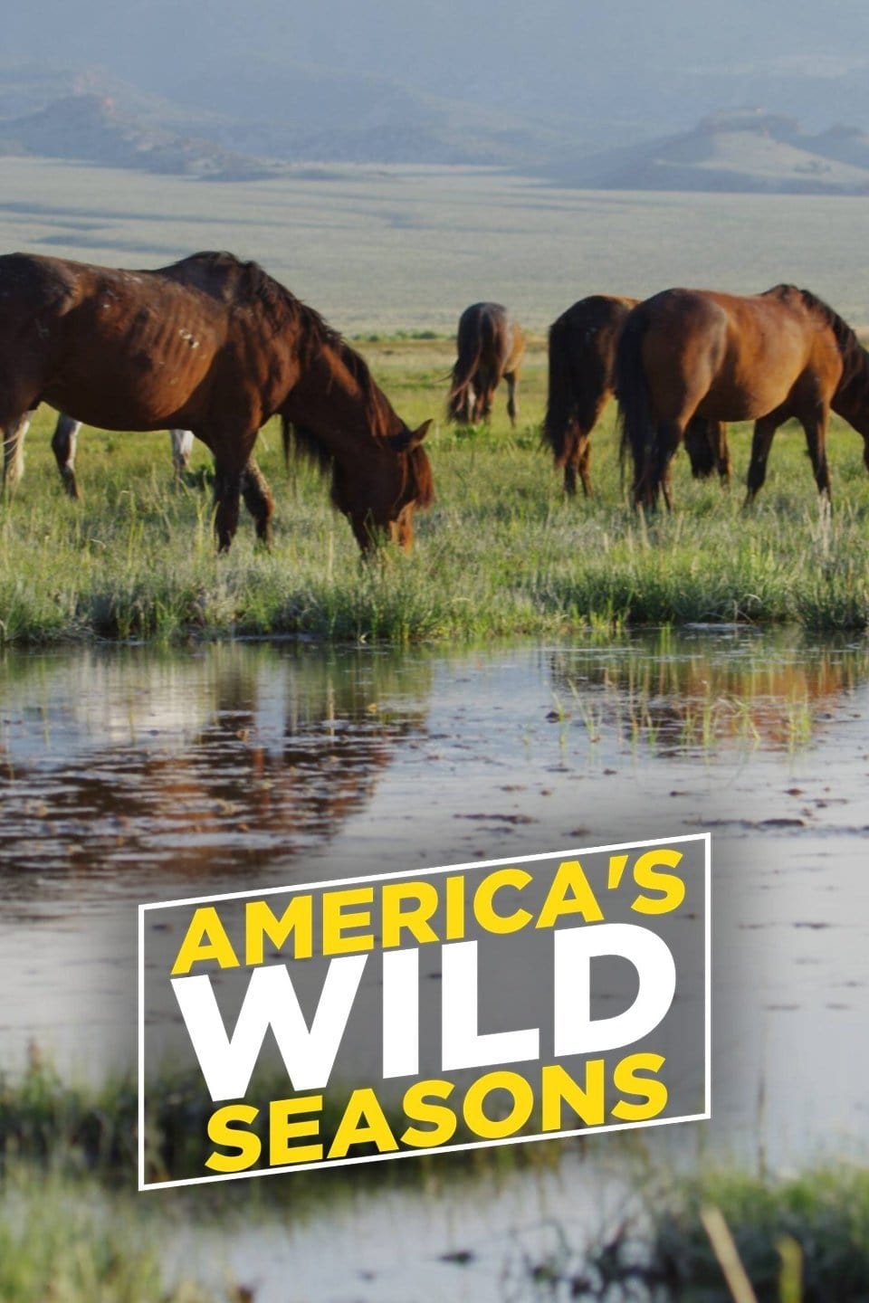 America's Wild Seasons | America's Wild Seasons