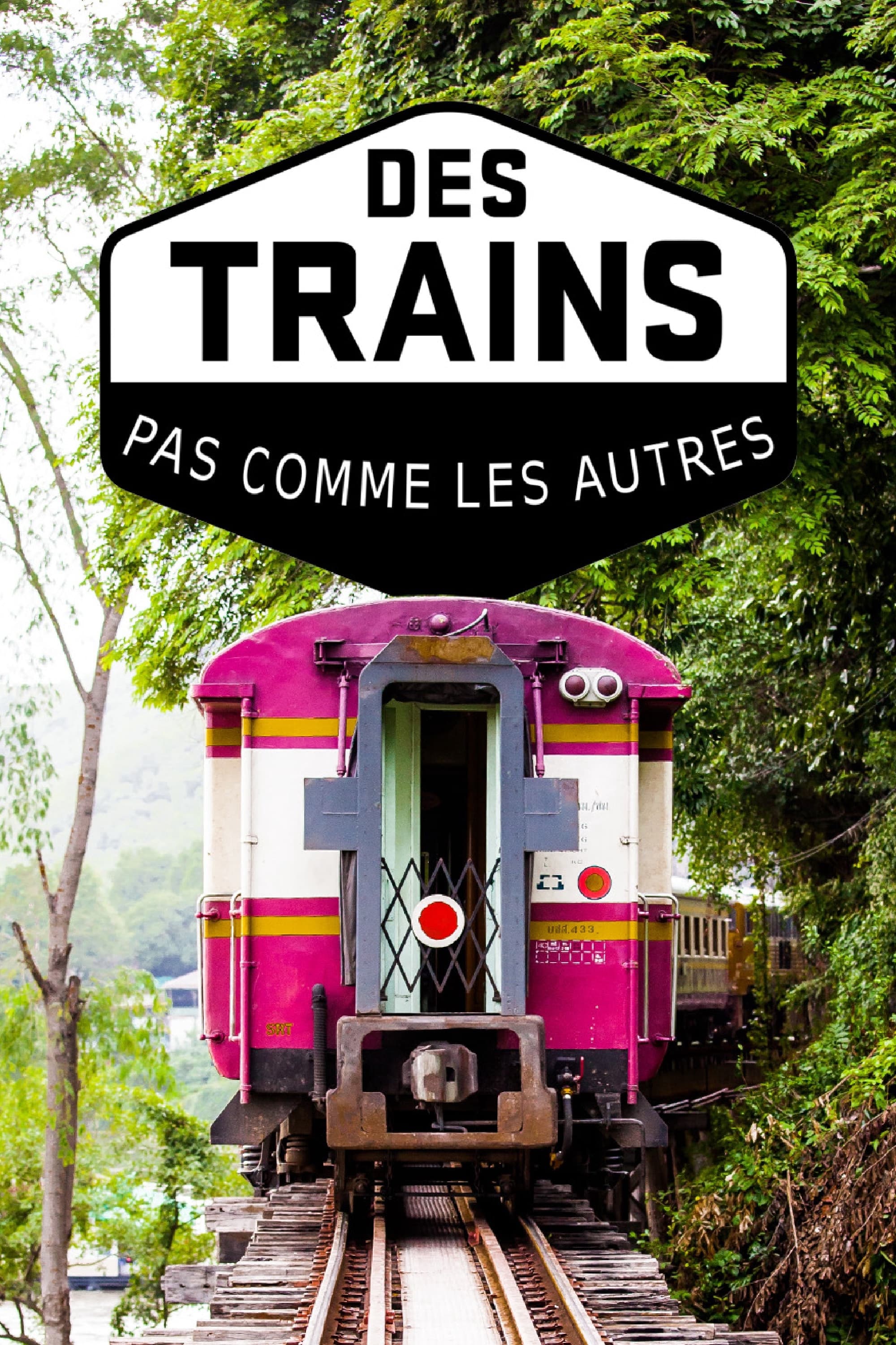 Des trains pas comme les autres